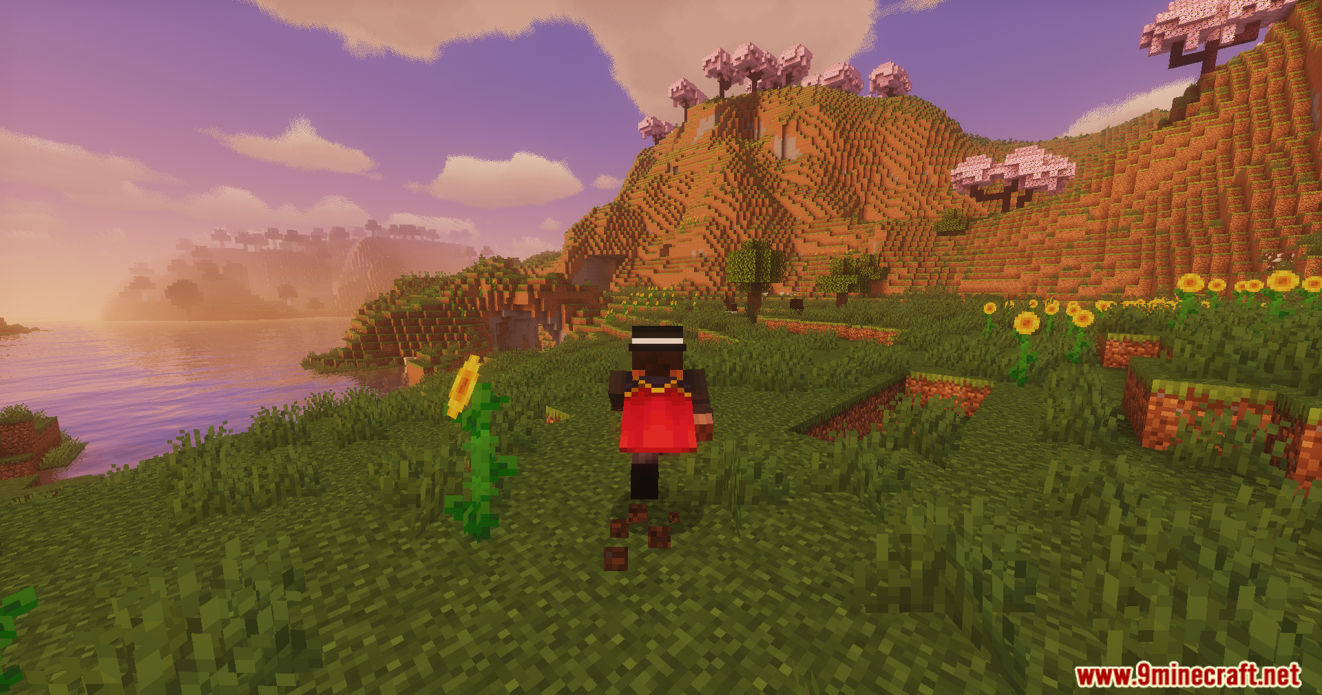 A player with a red cape runs through a sunflower field near the water