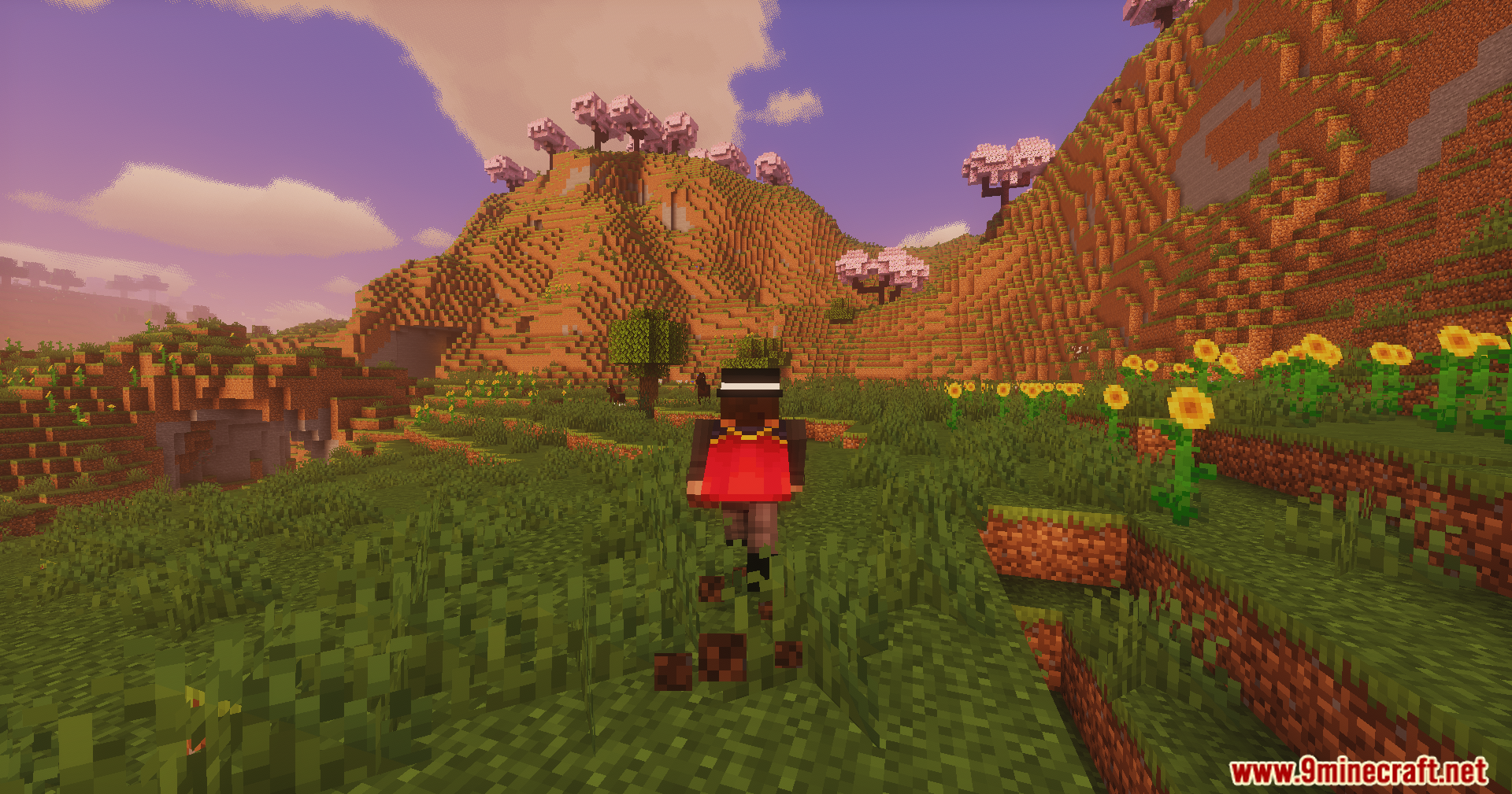 Minecraft character running towards a hill with cherry blossom trees and bright sunflowers