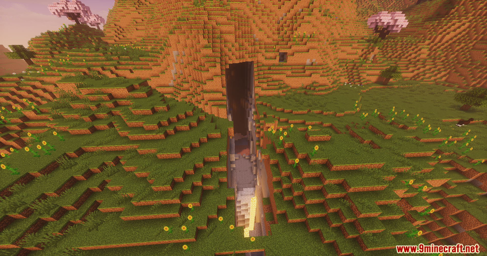 A deep ravine cuts through a grassy hill under warm sunlight