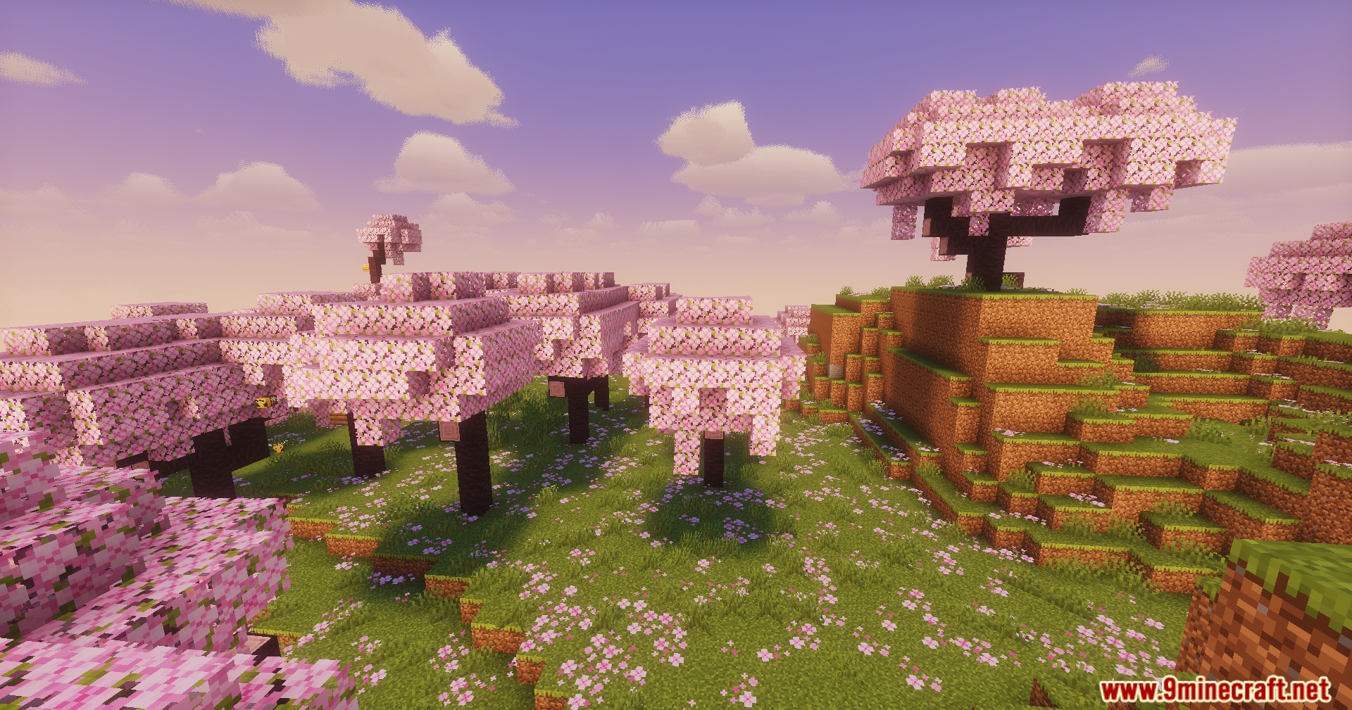 Beautiful cherry blossom trees stand on a grassy hill under a soft sky