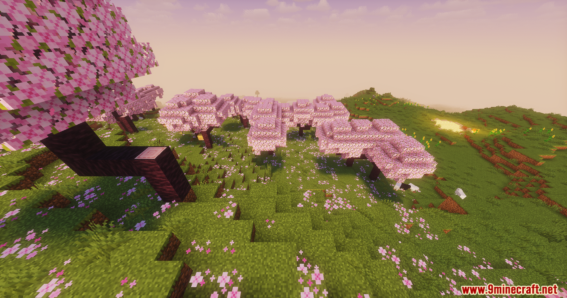 Pink cherry blossom trees on a grassy hill with soft sunset lighting