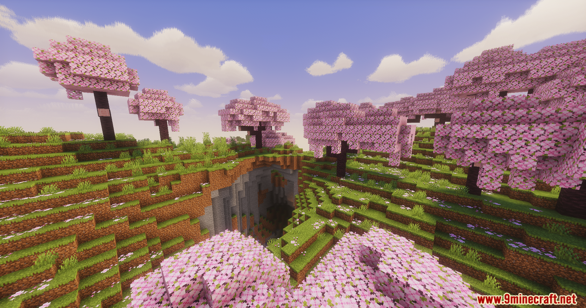 Pink cherry blossom trees growing on a grassy hill above a deep ravine