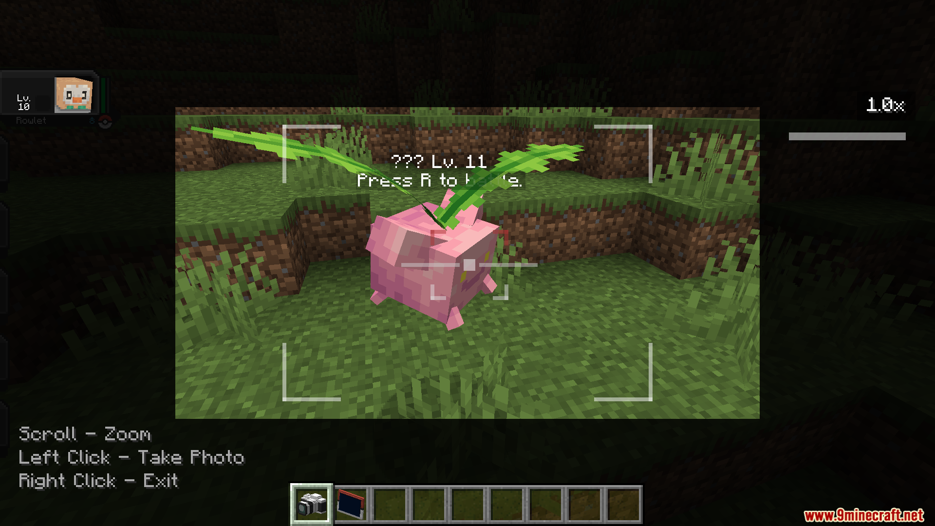A player uses a camera to focus on a pink Hoppip in Minecraft
