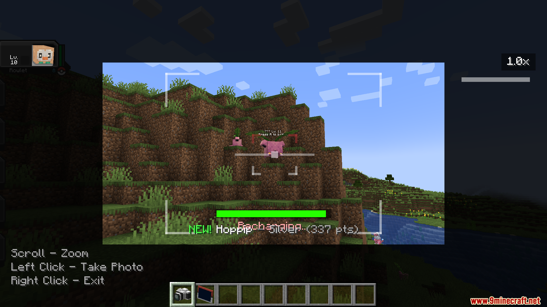 Earning points by taking a photo of a wild Hoppip in Minecraft