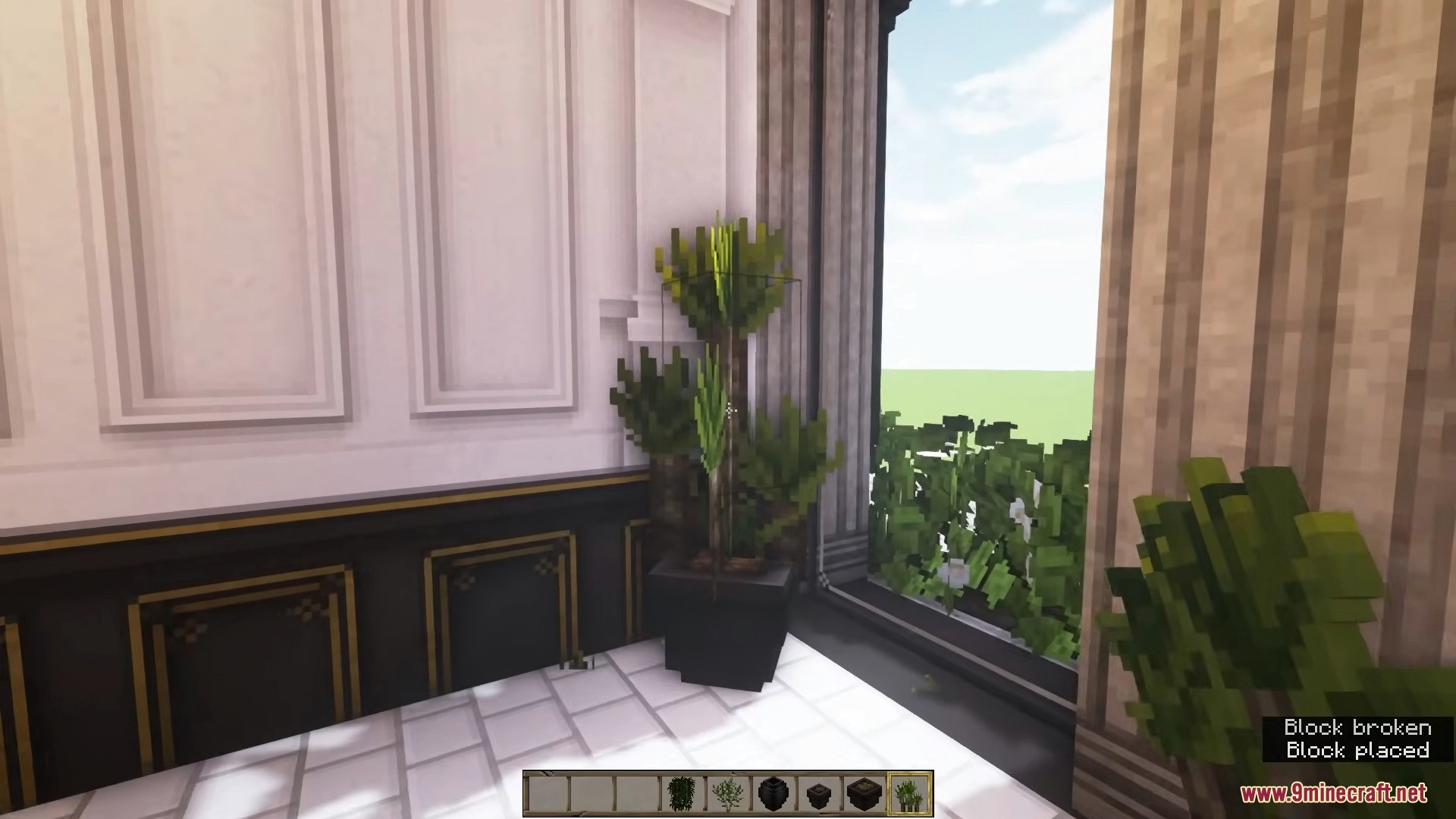 A potted green plant stands in the corner of a classic room