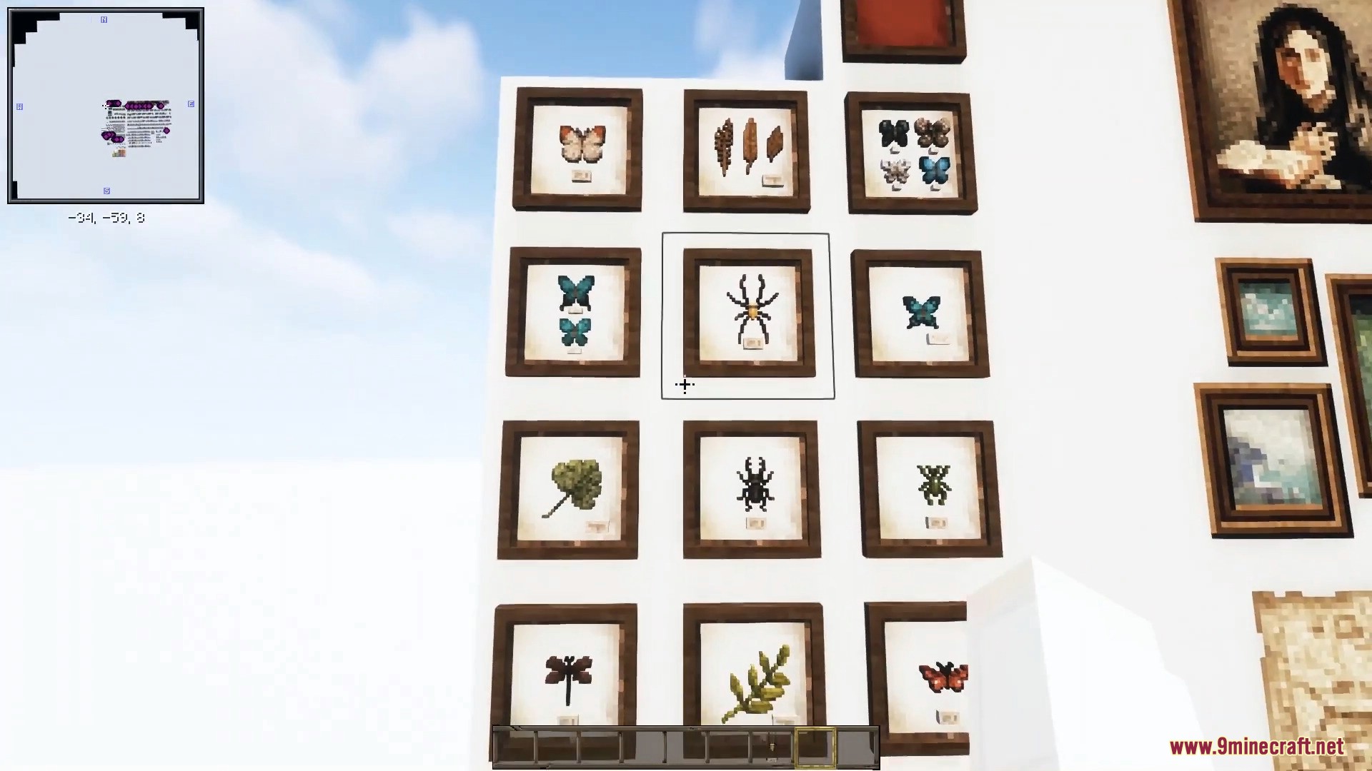 Framed insect specimens and vintage paintings decorate a clean white wall.
