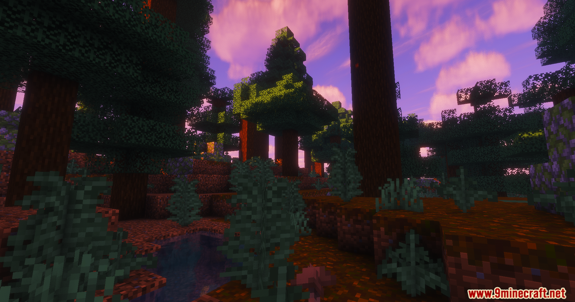 ColorFull Ultra Shaders Screenshot 1 Dense forest with tall spruce trees under a vibrant purple sunset sky
