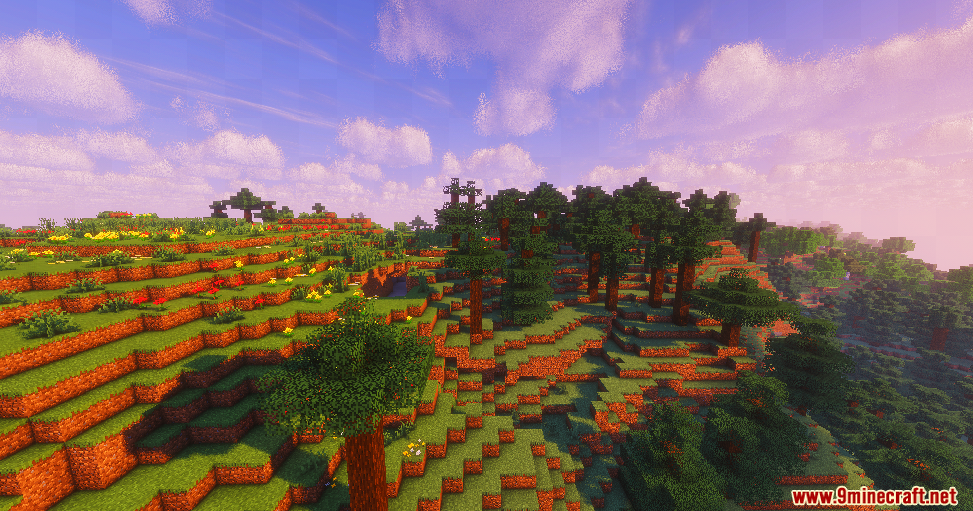 ColorFull Ultra Shaders Screenshot 8 A lush Minecraft hillside with colorful flowers and spruce trees in bright sunlight