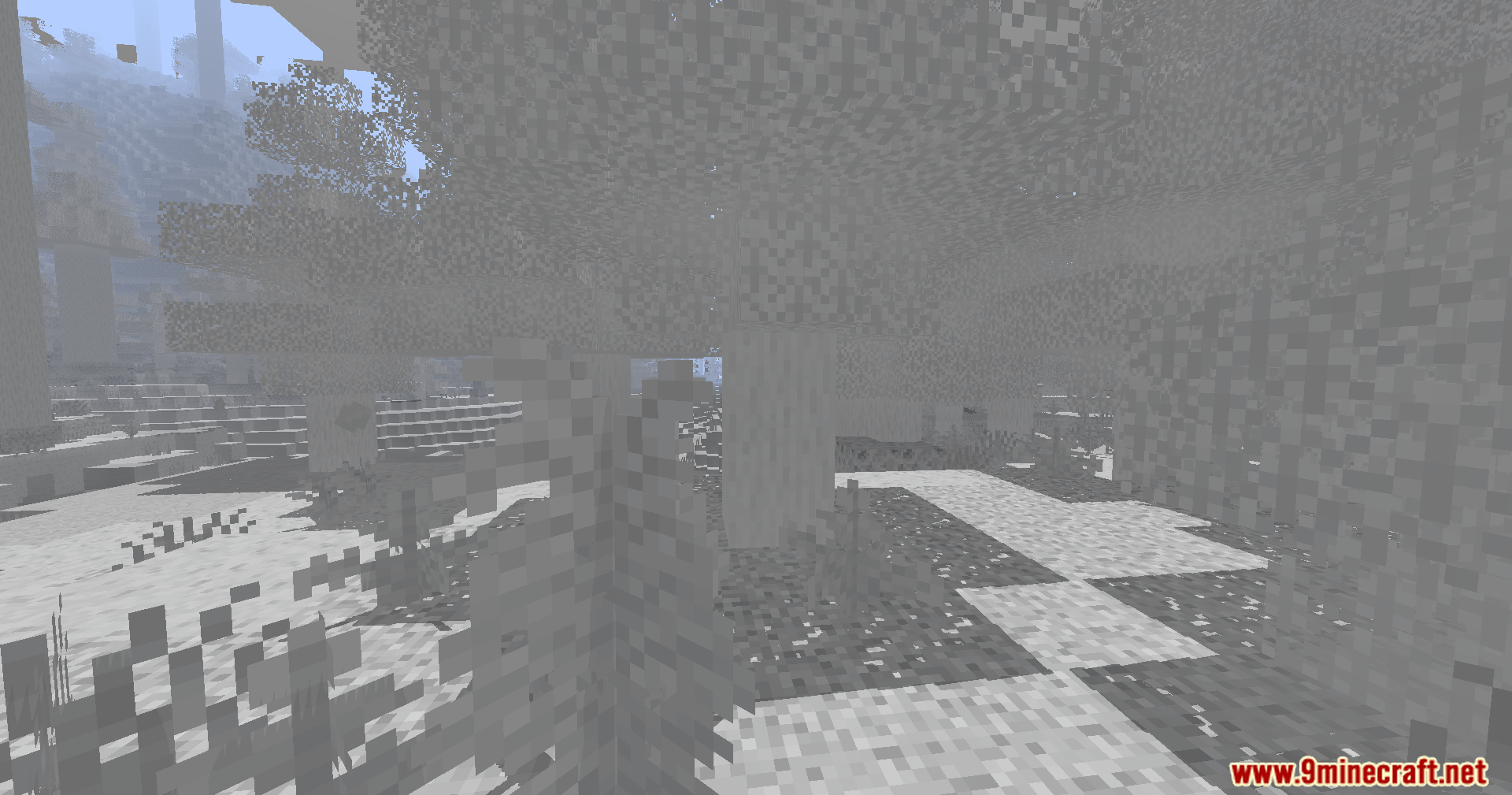 Colorless Black and White Shaders applied to a forest and grass area