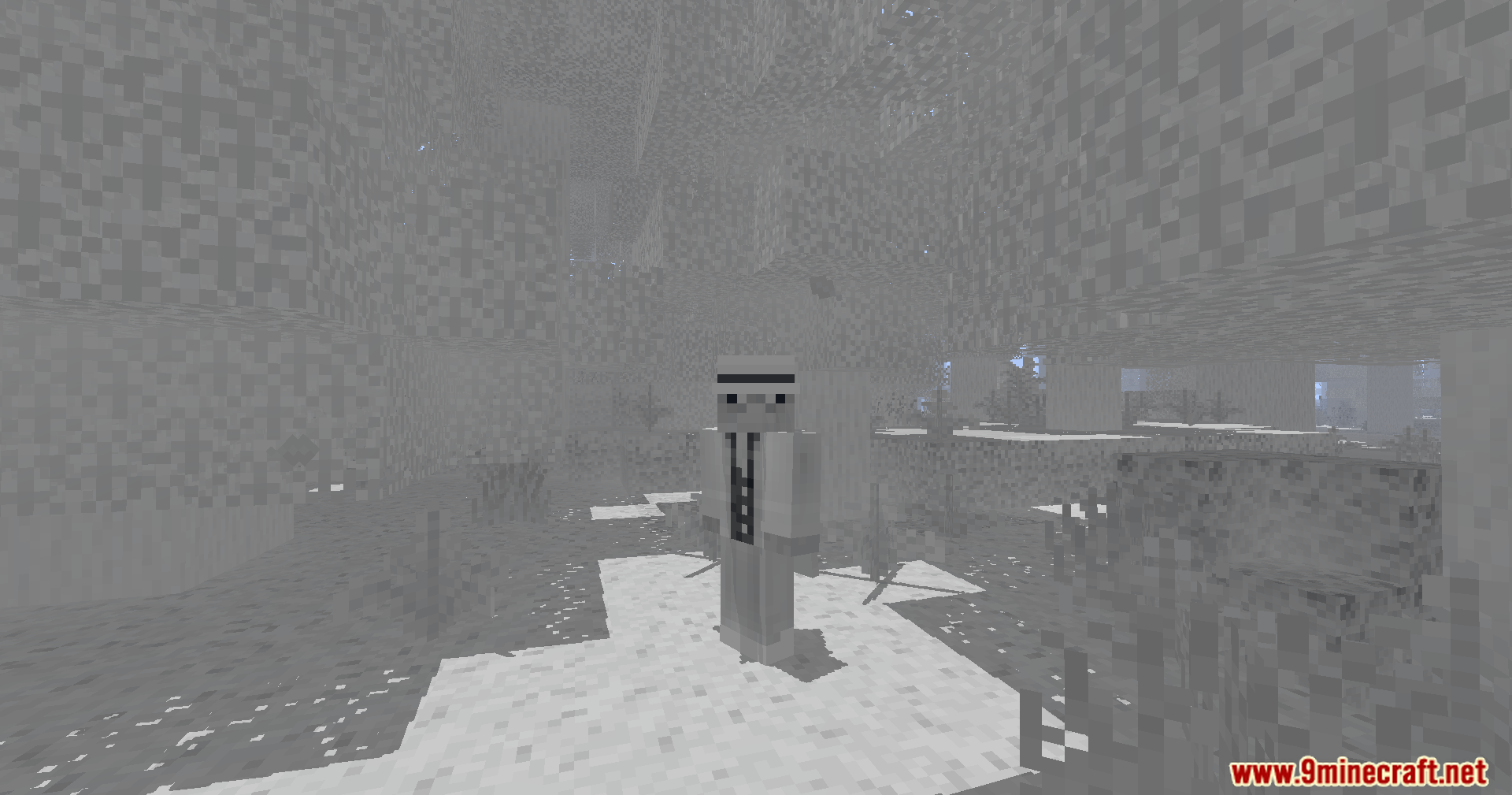 A player character wearing a suit standing in a foggy black and white biome