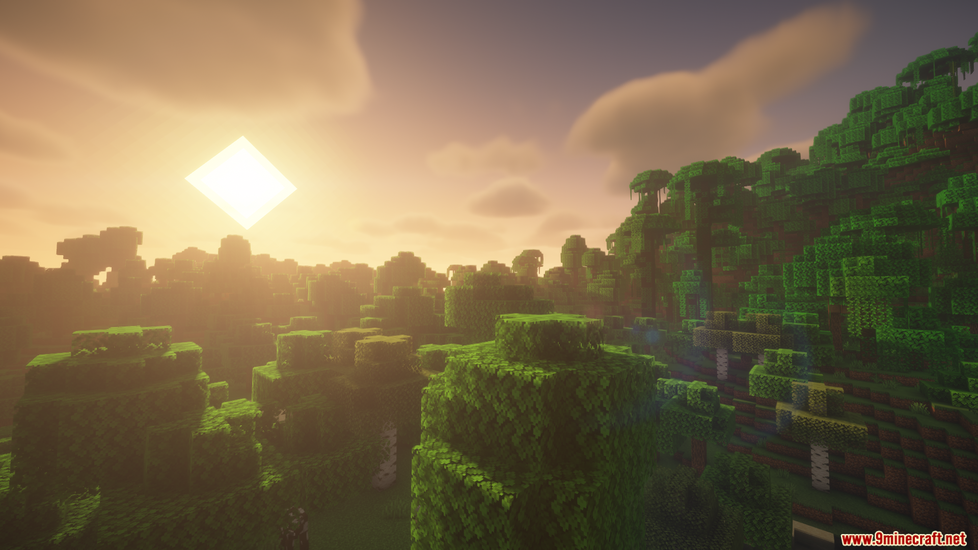Colorwheel Patcher Mod Screenshot 4 Bright sunlight shining through the leaves of a dense Minecraft jungle forest