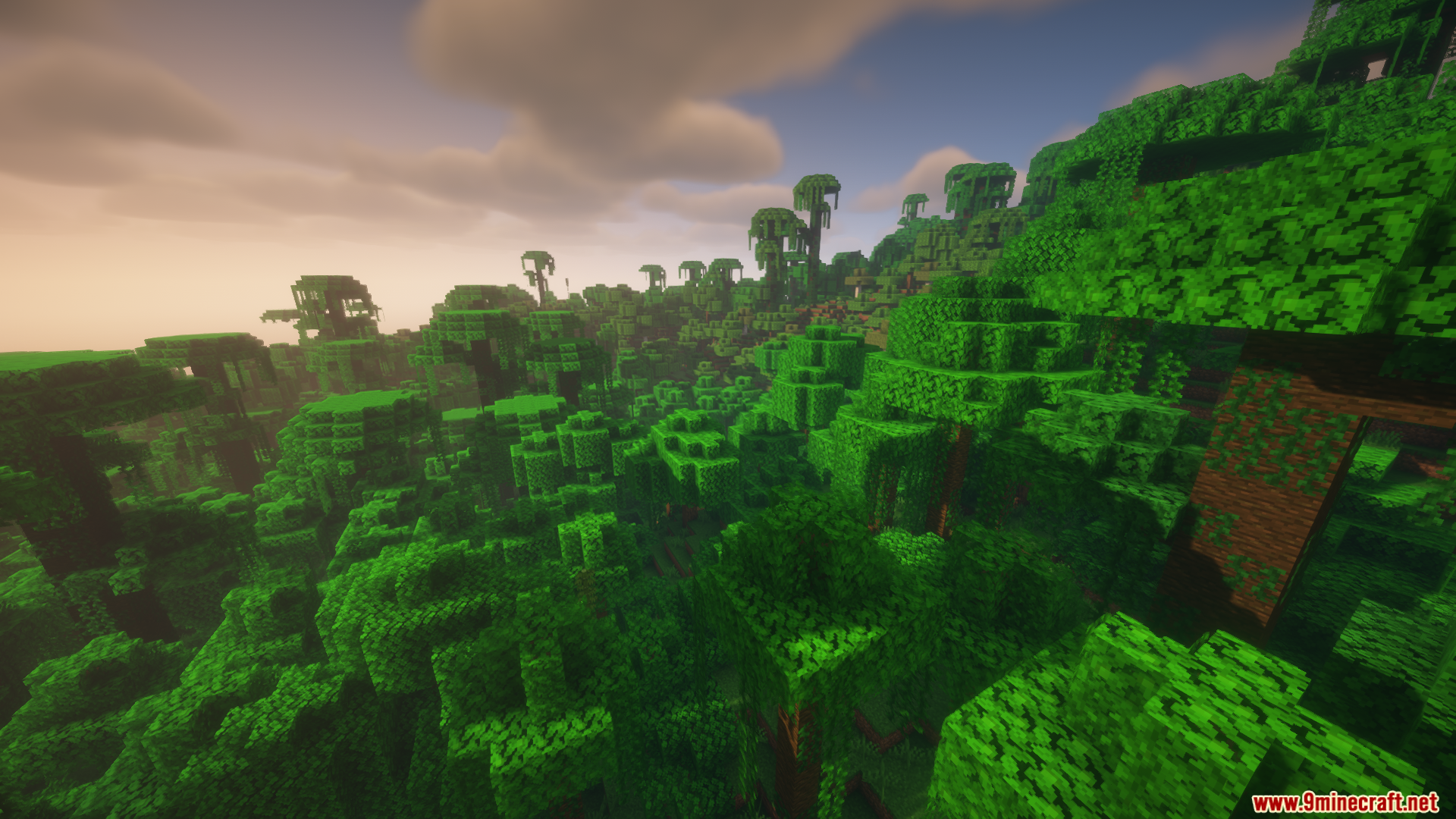 Colorwheel Patcher Mod Screenshot 7 A dense Minecraft jungle biome with lush green trees and sunset lighting