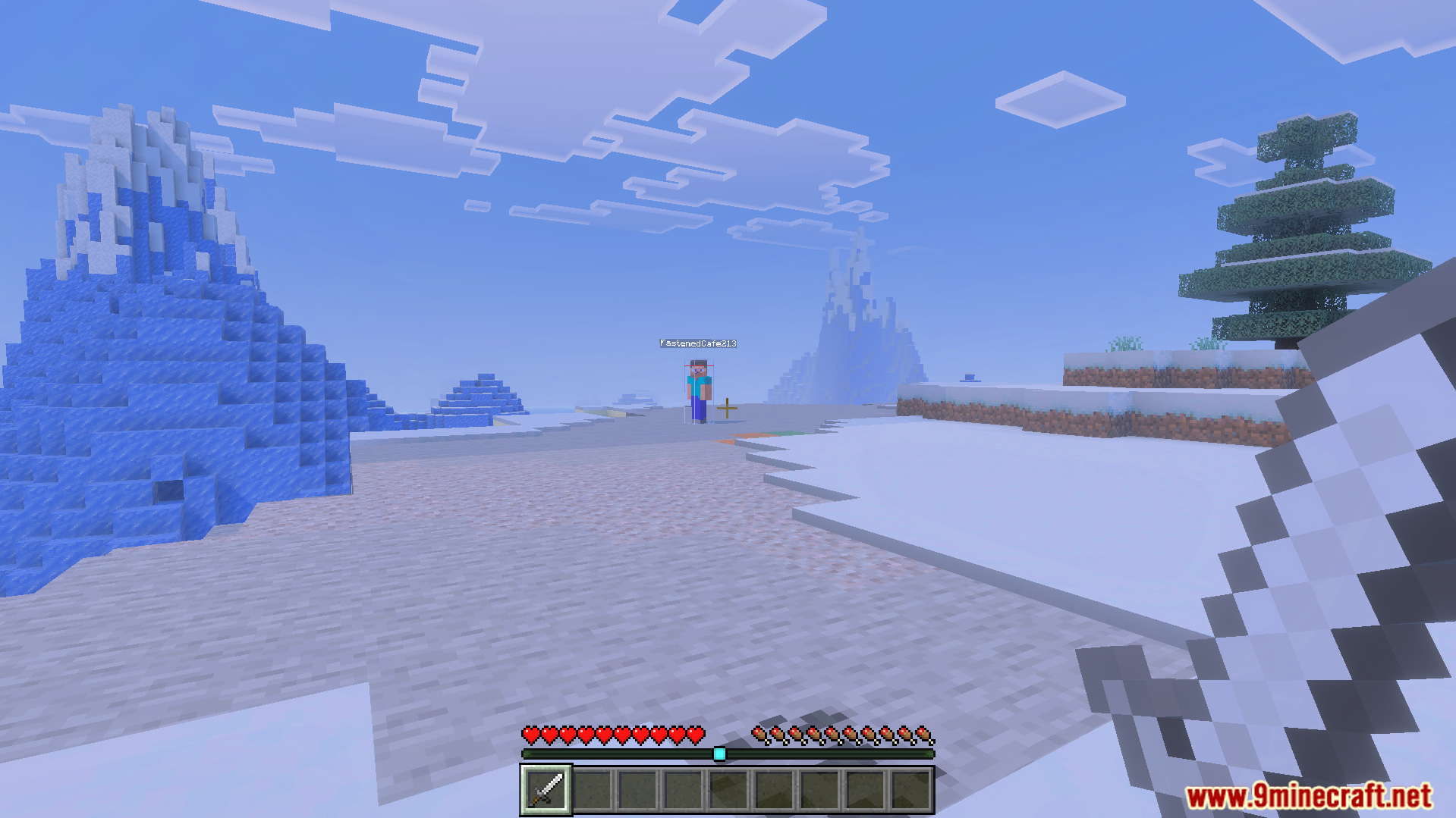 Combat Hitboxes Texture Pack showing a player standing in a snowy biome