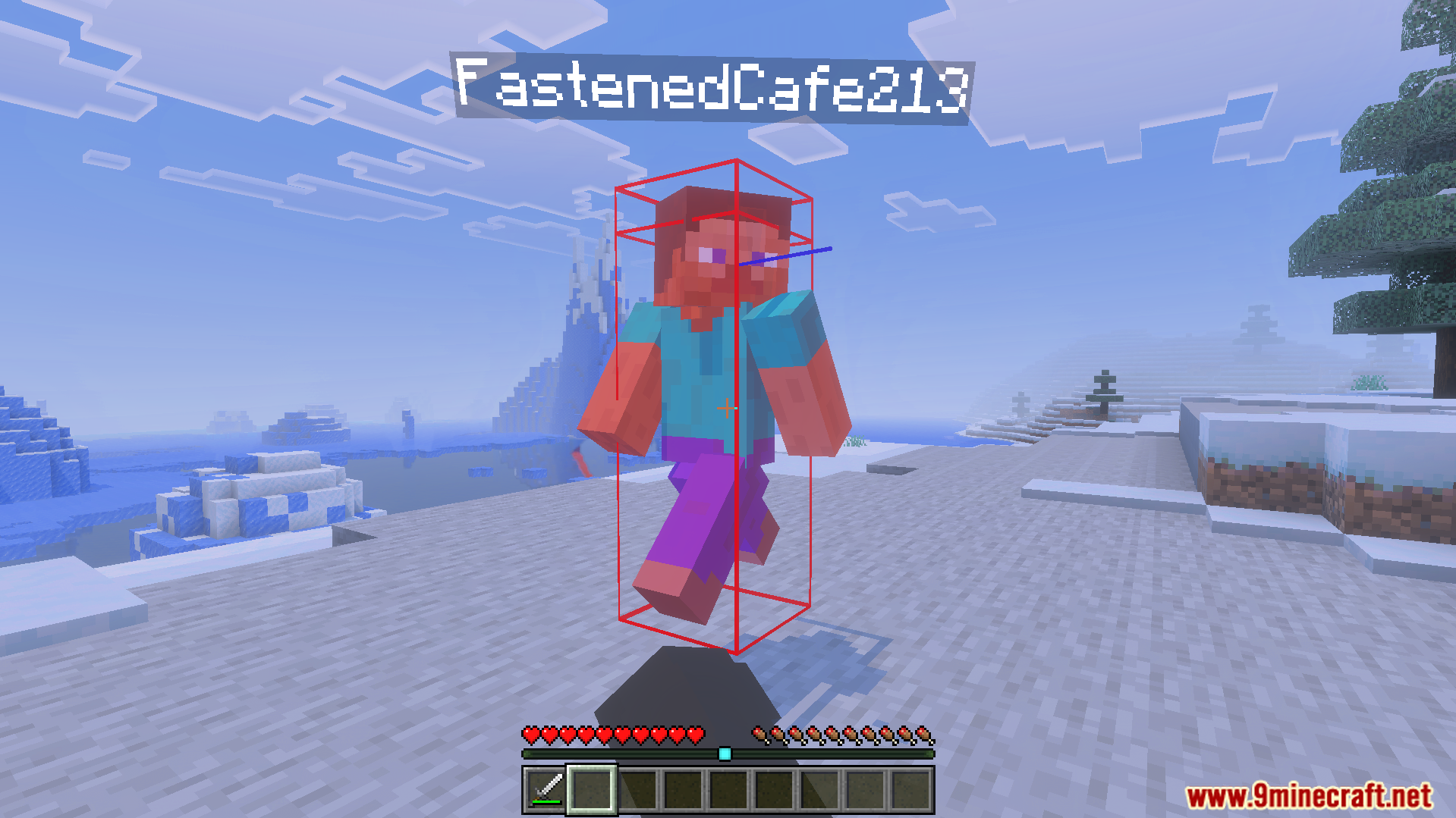 Combat Hitboxes Texture Pack showing a red outline when players are in reach