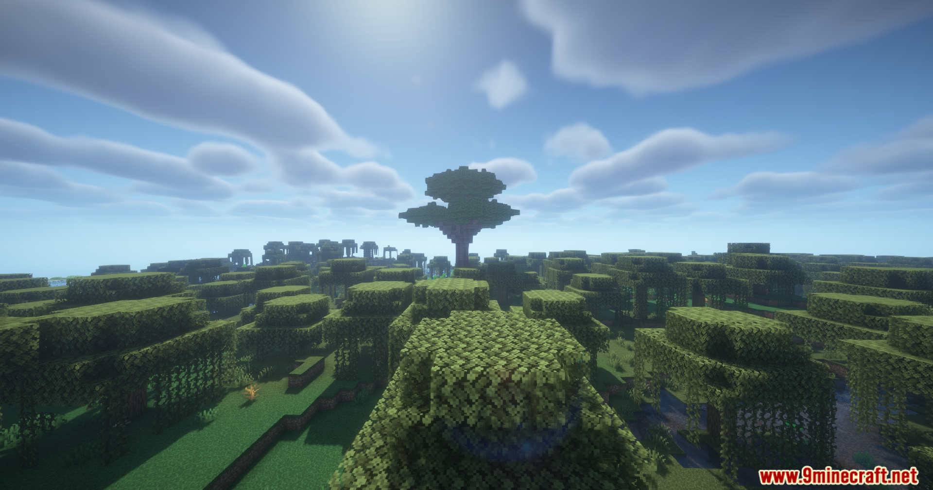 Confluence Music Mod Screenshot 11 Lush green forest with hanging vines and a massive tree under bright shaders