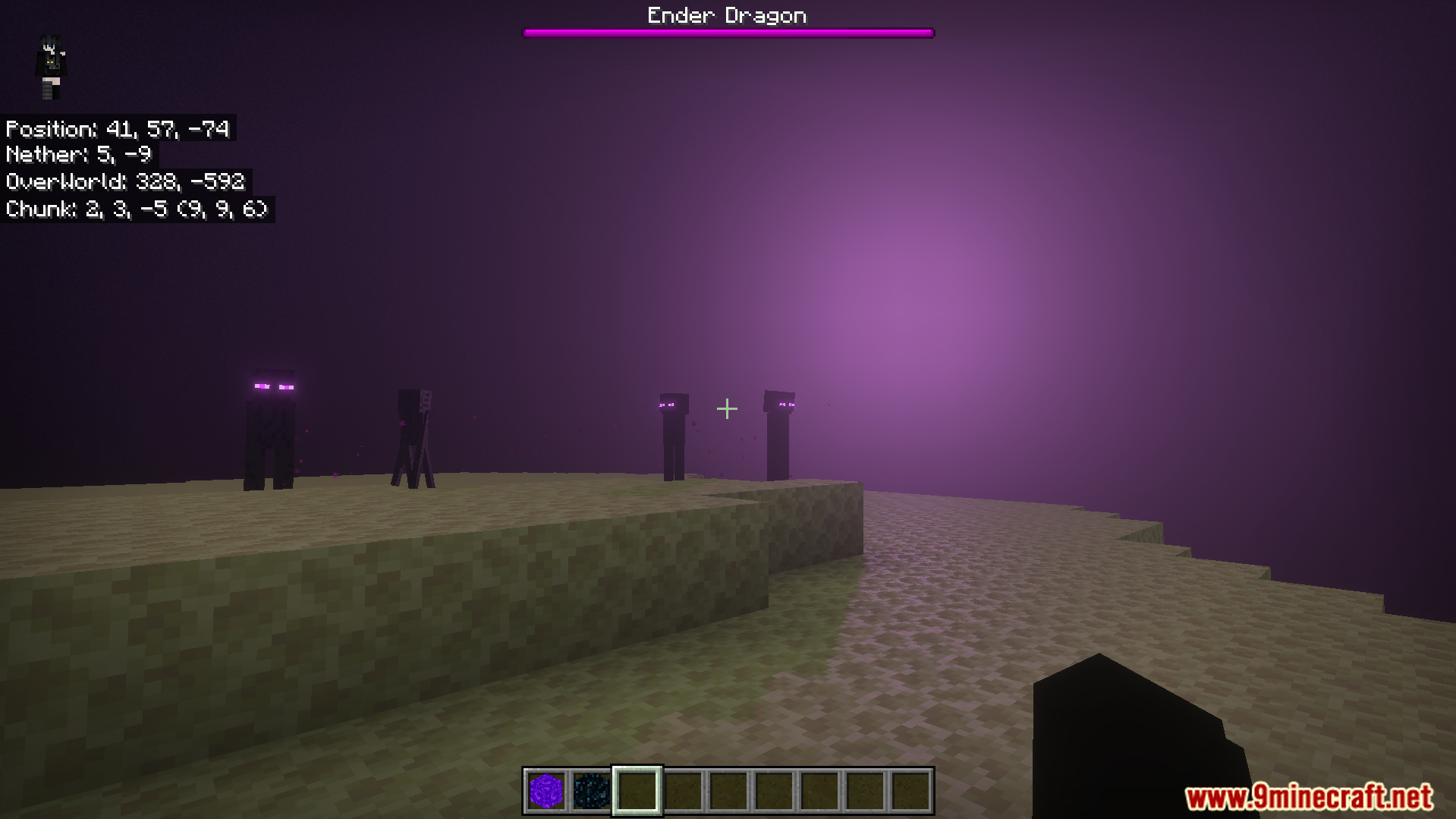Coordinates Plus Texture Pack Screenshot 8 Minecraft player in