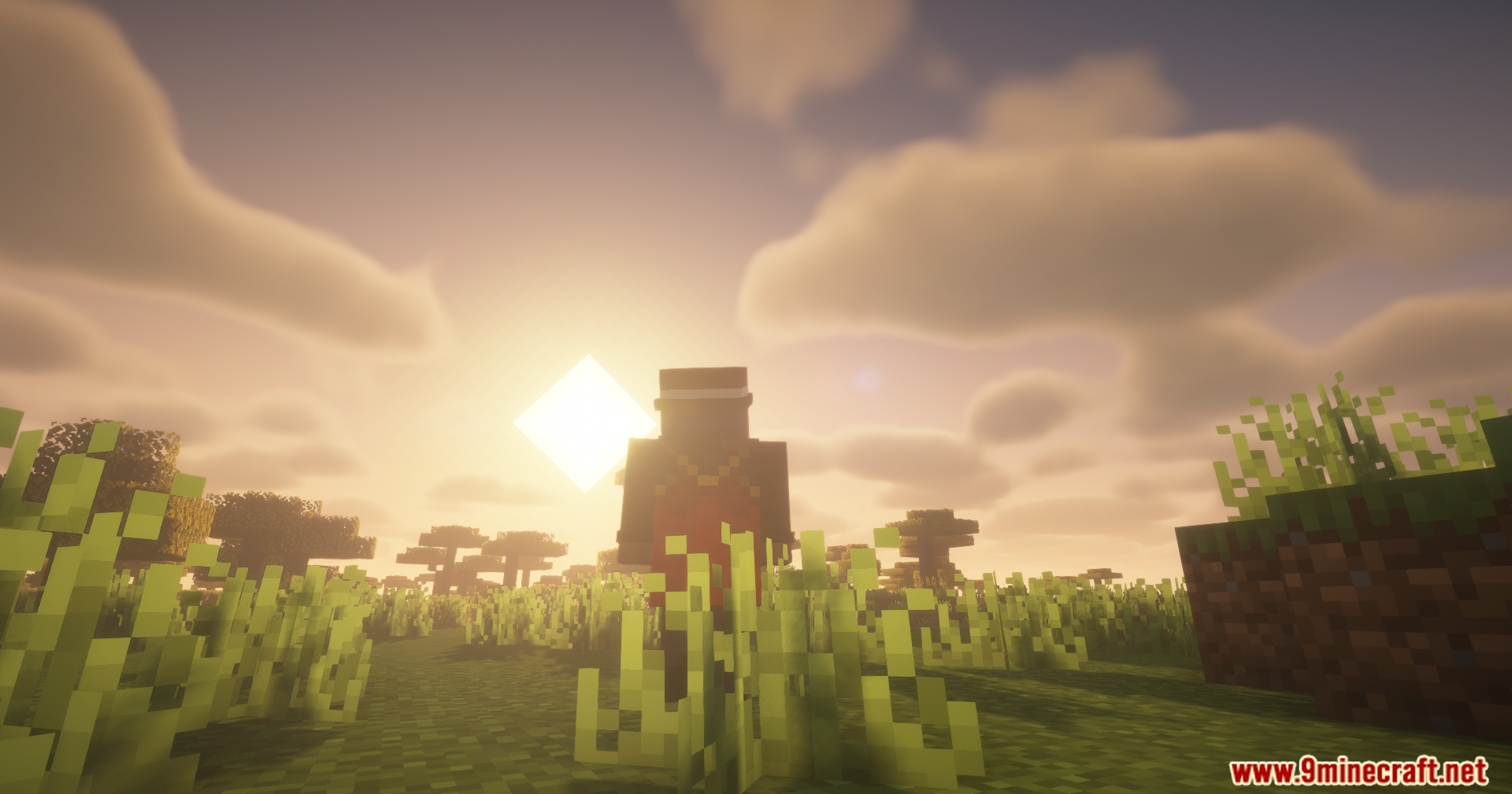 Countered's Smooth F5 Mod Screenshot 10 Player character in third person view standing in tall grass at sunset