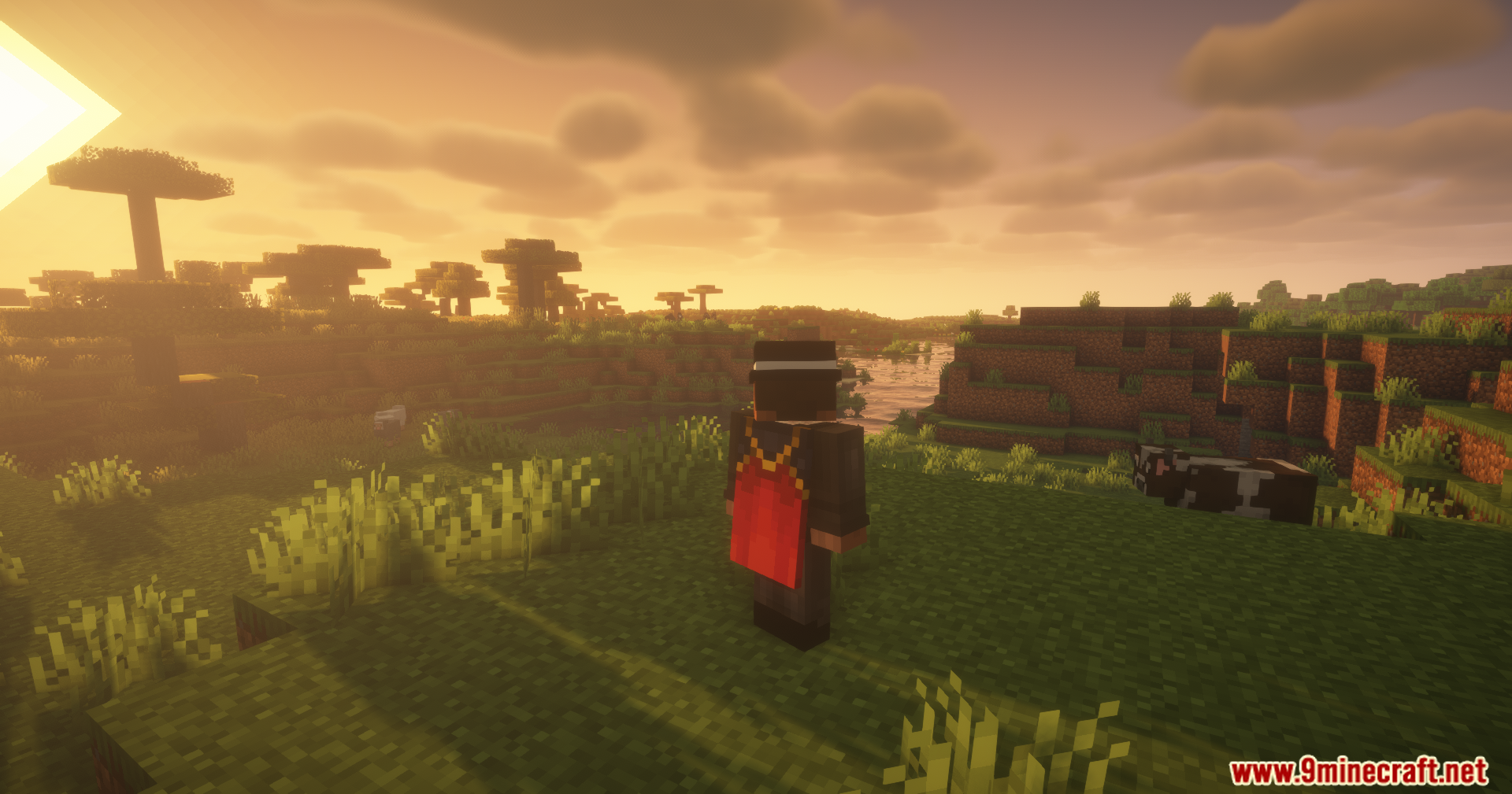 Countered's Smooth F5 Mod Screenshot 2 A player character stands in a grassy field during a beautiful sunset