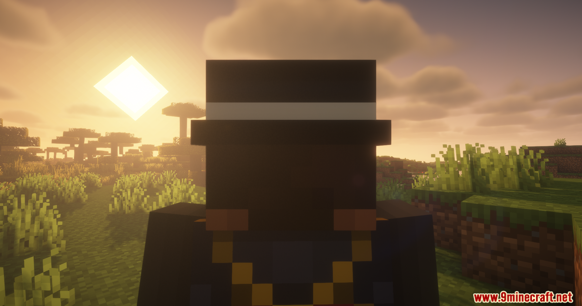 Countered's Smooth F5 Mod Screenshot 6 Silhouette of a player wearing a black hat during a bright sunset