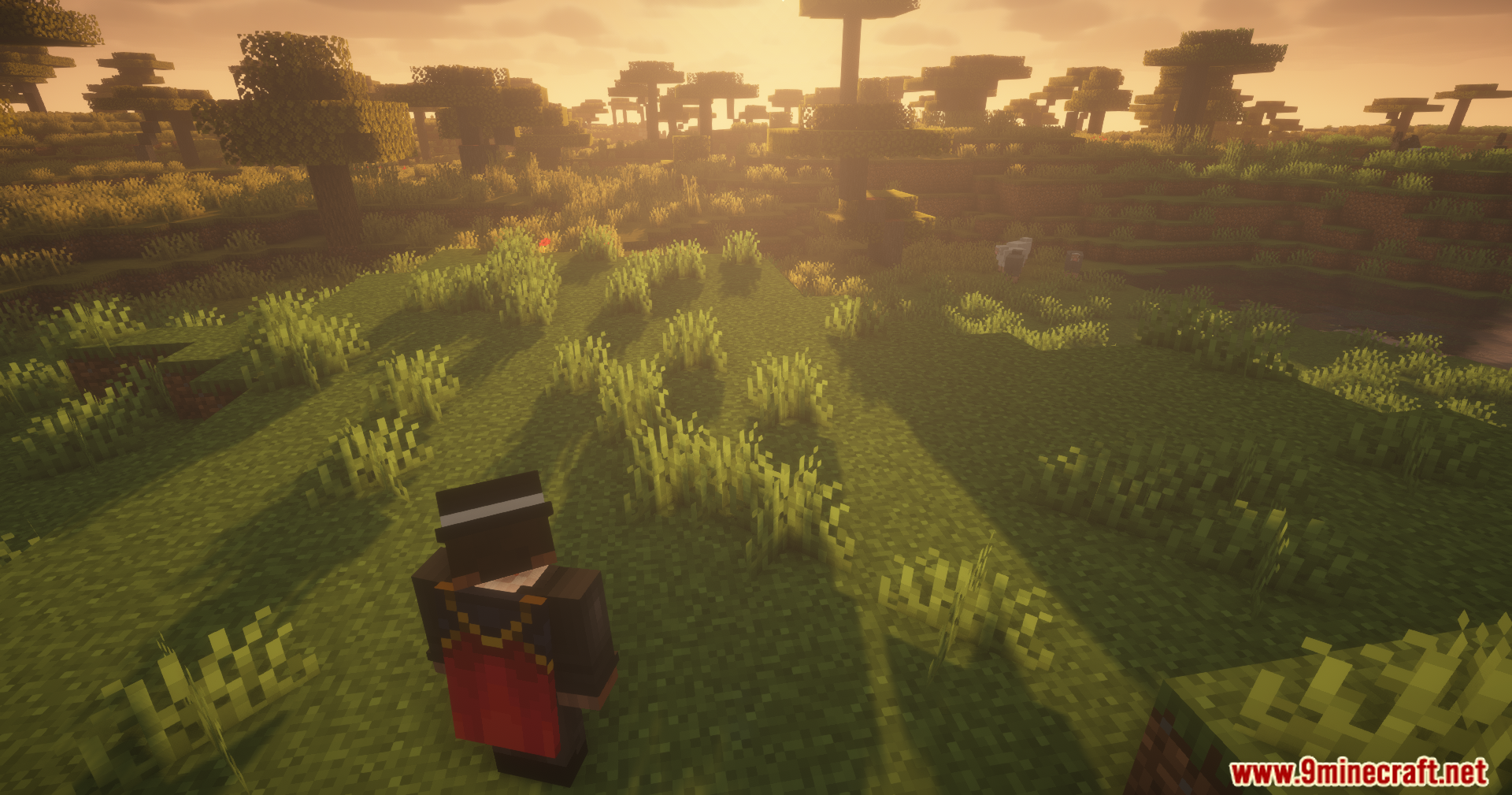 Countered's Smooth F5 Mod Screenshot 7 Player in a suit and red cape standing in a sunset savanna biome