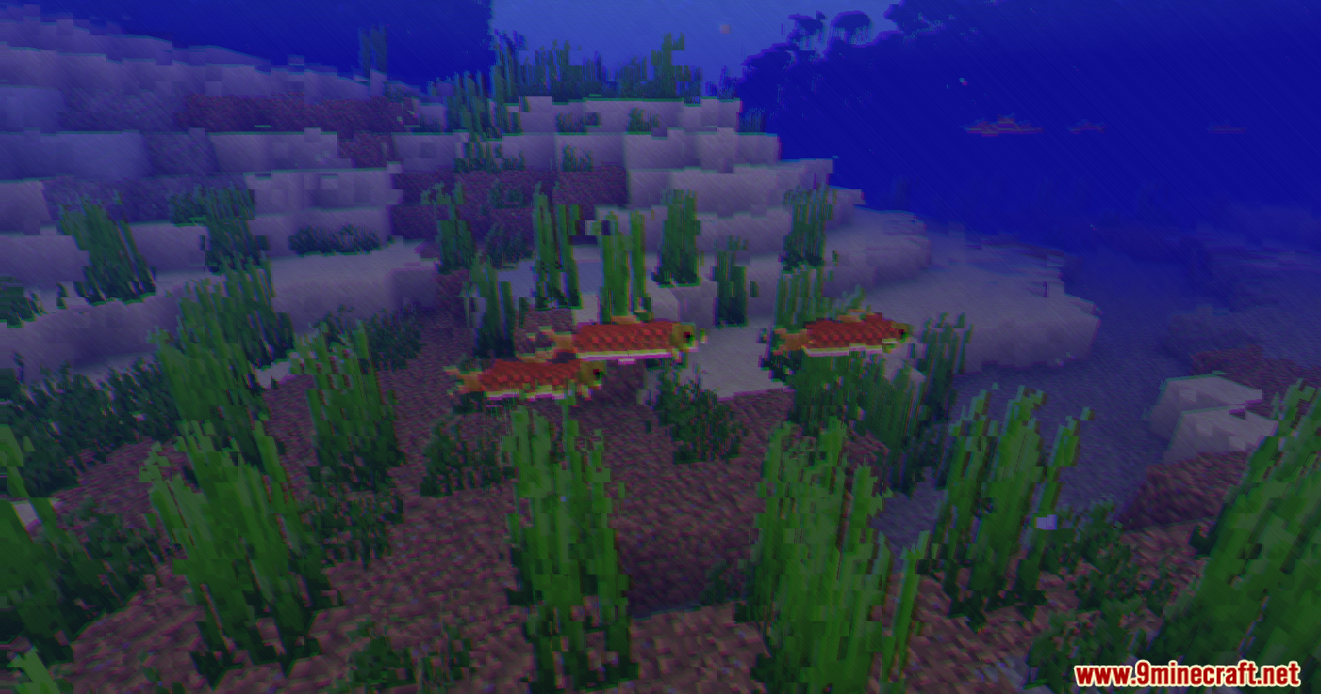 Salmon swimming through seagrass with distorted color separation and screen corruption effects
