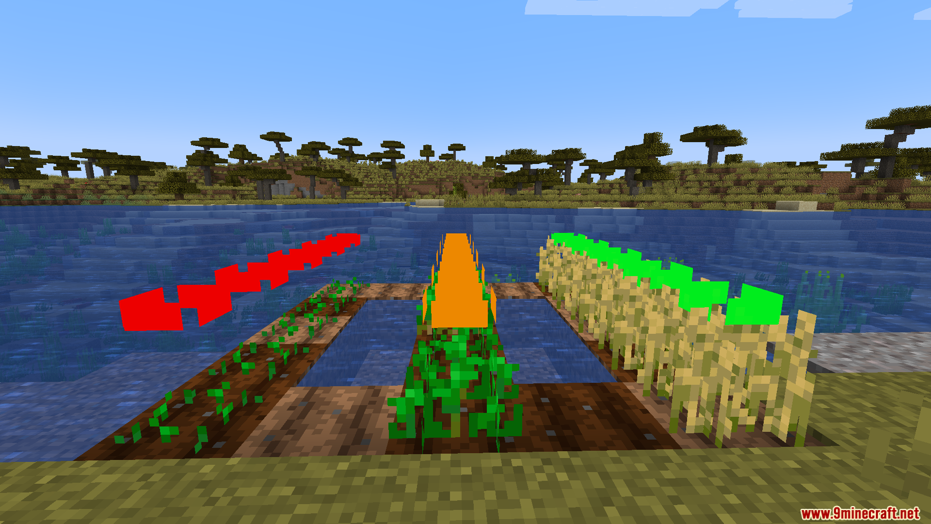 Colored rectangles floating above crops in a Minecraft farm showing different growth stages