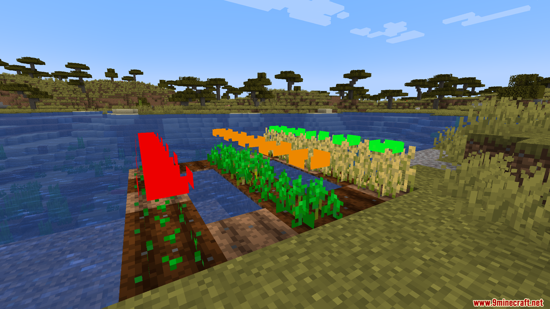 Side view of Minecraft crops with colored rectangles showing their current growth progress