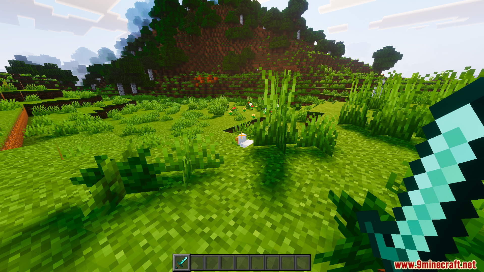 Player holding a diamond sword looking at a chicken in a grassy field