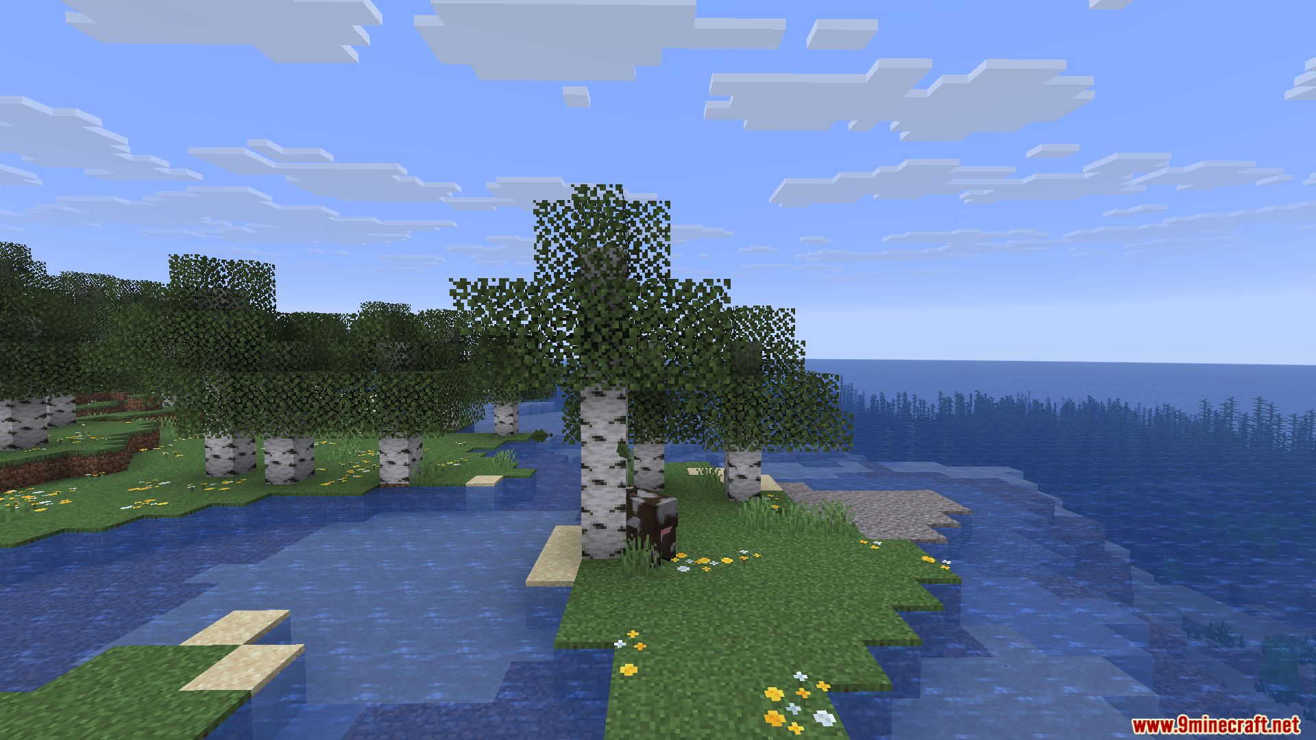 A cow standing under birch trees near a clear blue ocean