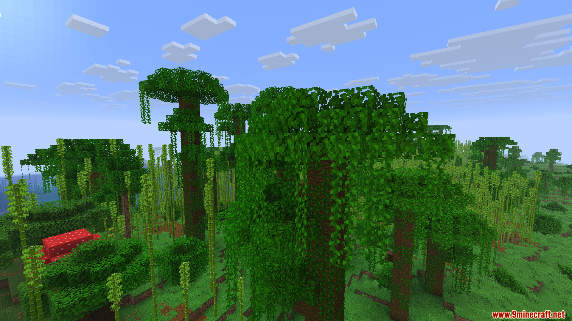 Dense jungle biome with tall trees thick green leaves and bamboo stalks