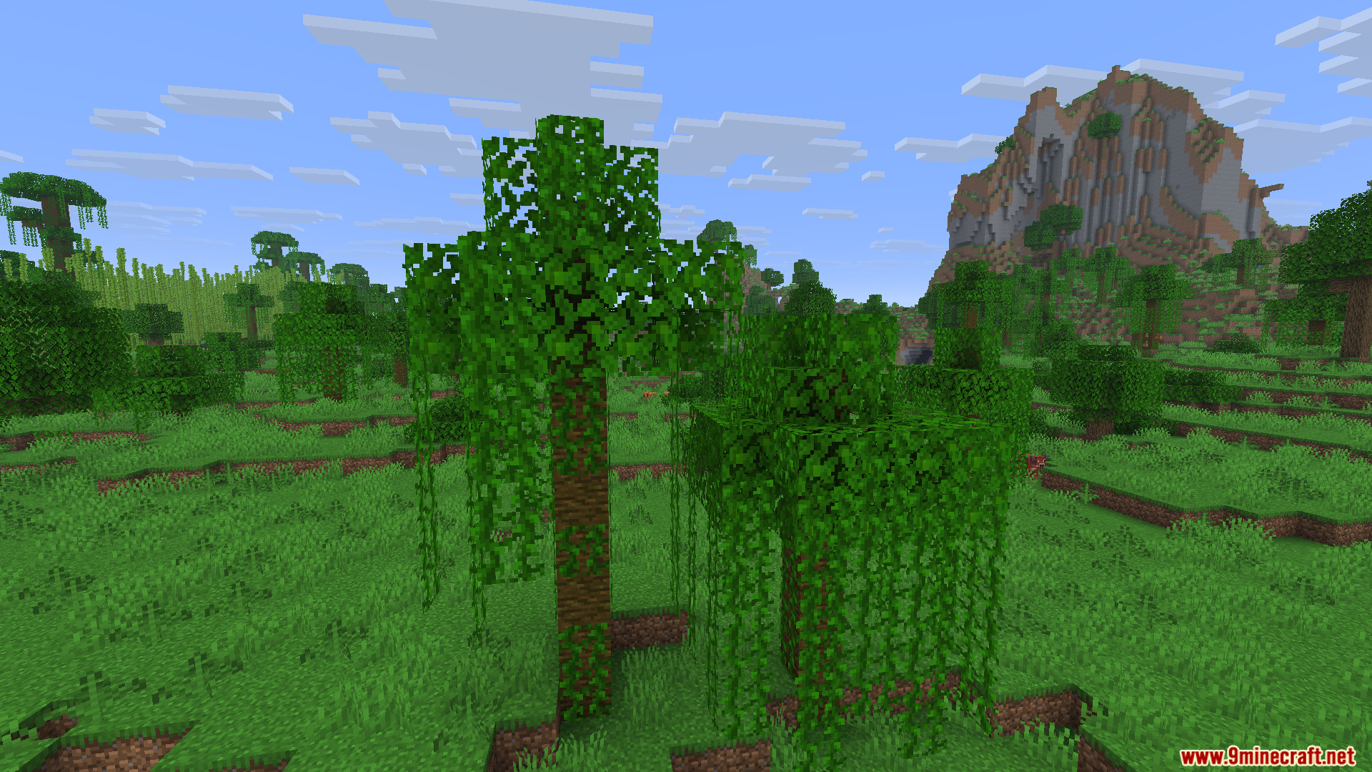Tall jungle tree with hanging vines in a lush green Minecraft field landscape