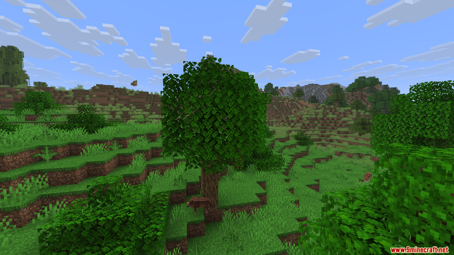 Lush green oak tree with a wolf nearby in a hilly Minecraft biome