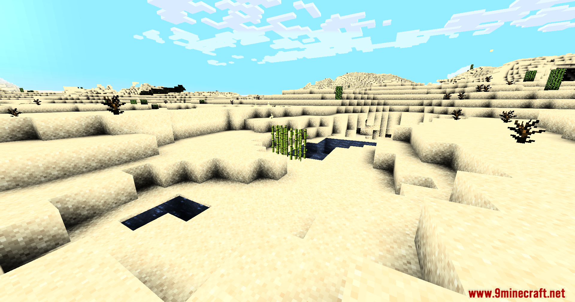 Bright sunlight illuminates sugar cane and a small pool in the desert