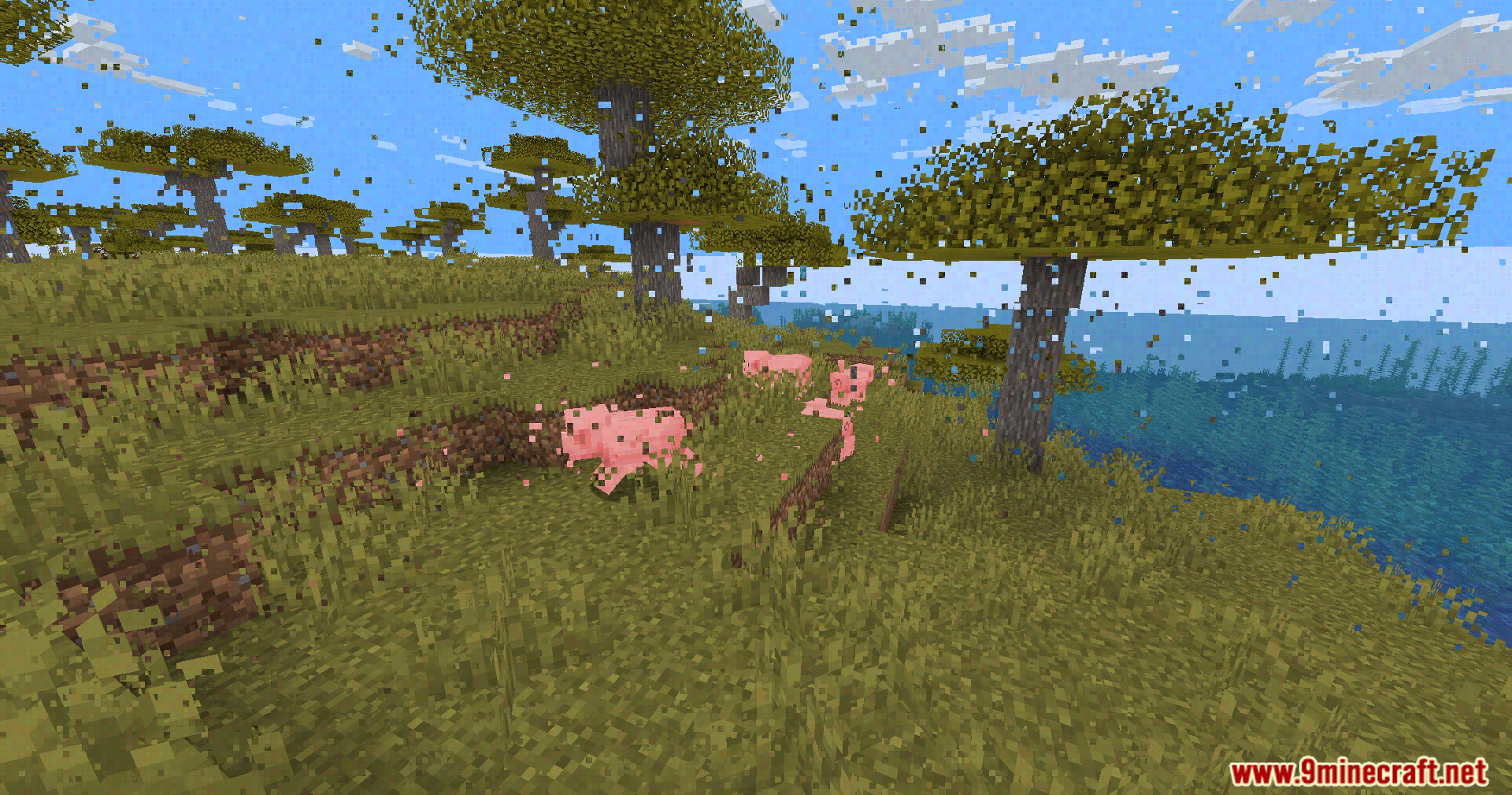 Smeared pixel blocks distort the view of pigs in a savanna landscape