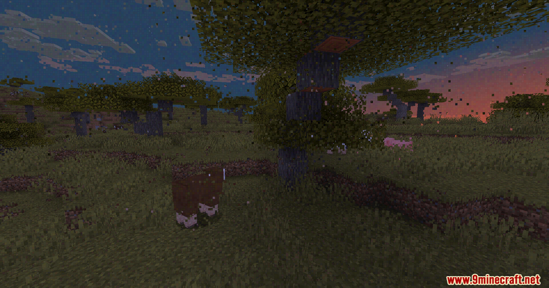 Glitchy visual effects distorting a savanna landscape with a cow at dusk