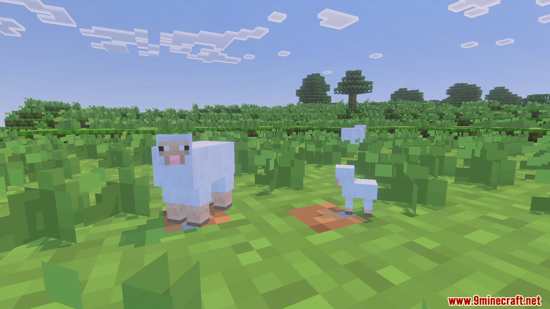 Delight four by four Texture Pack shows sheep with low resolution graphics