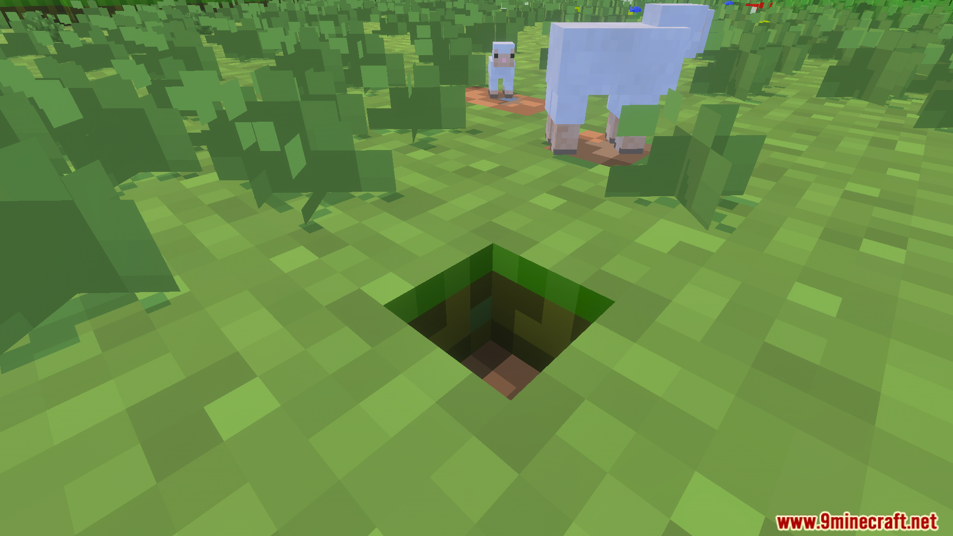 Simplified grass and dirt blocks around a hole in the ground with sheep