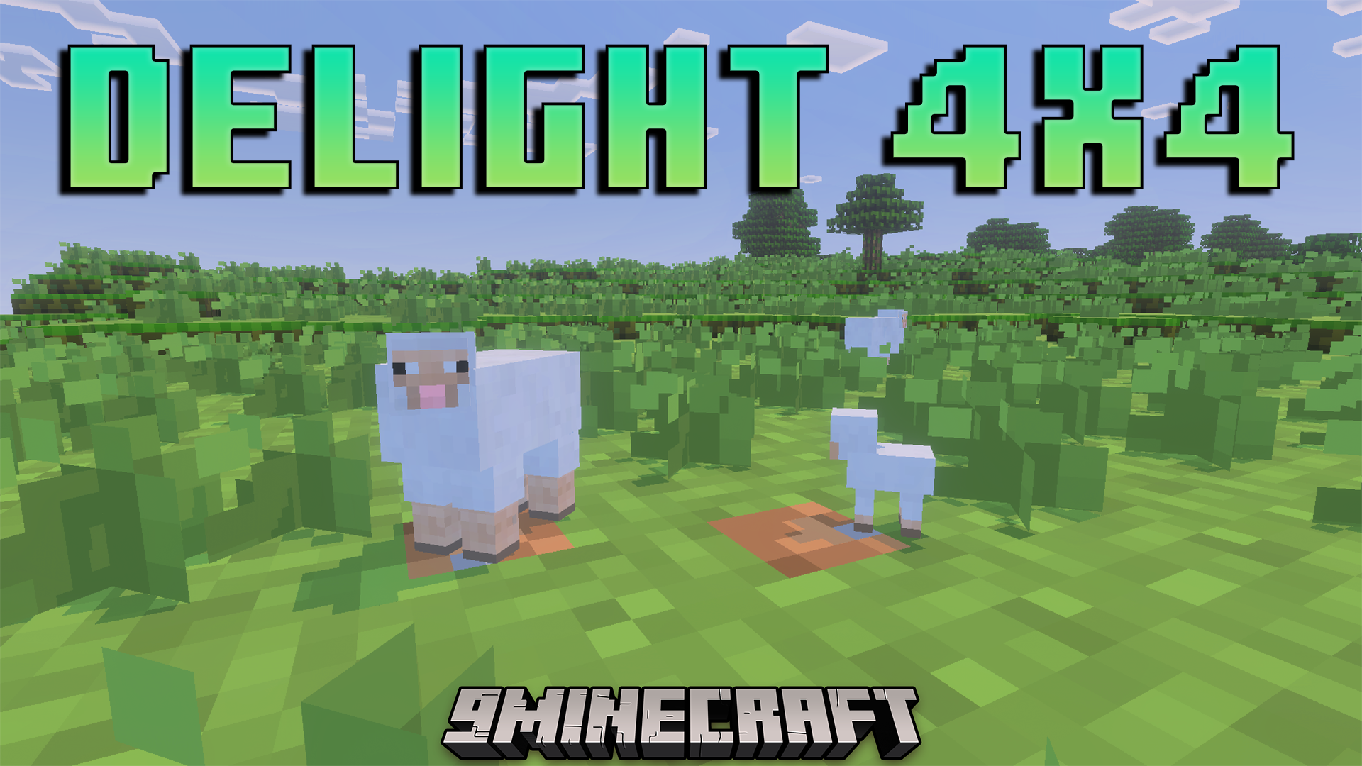 Delight 4x4 Texture Pack
