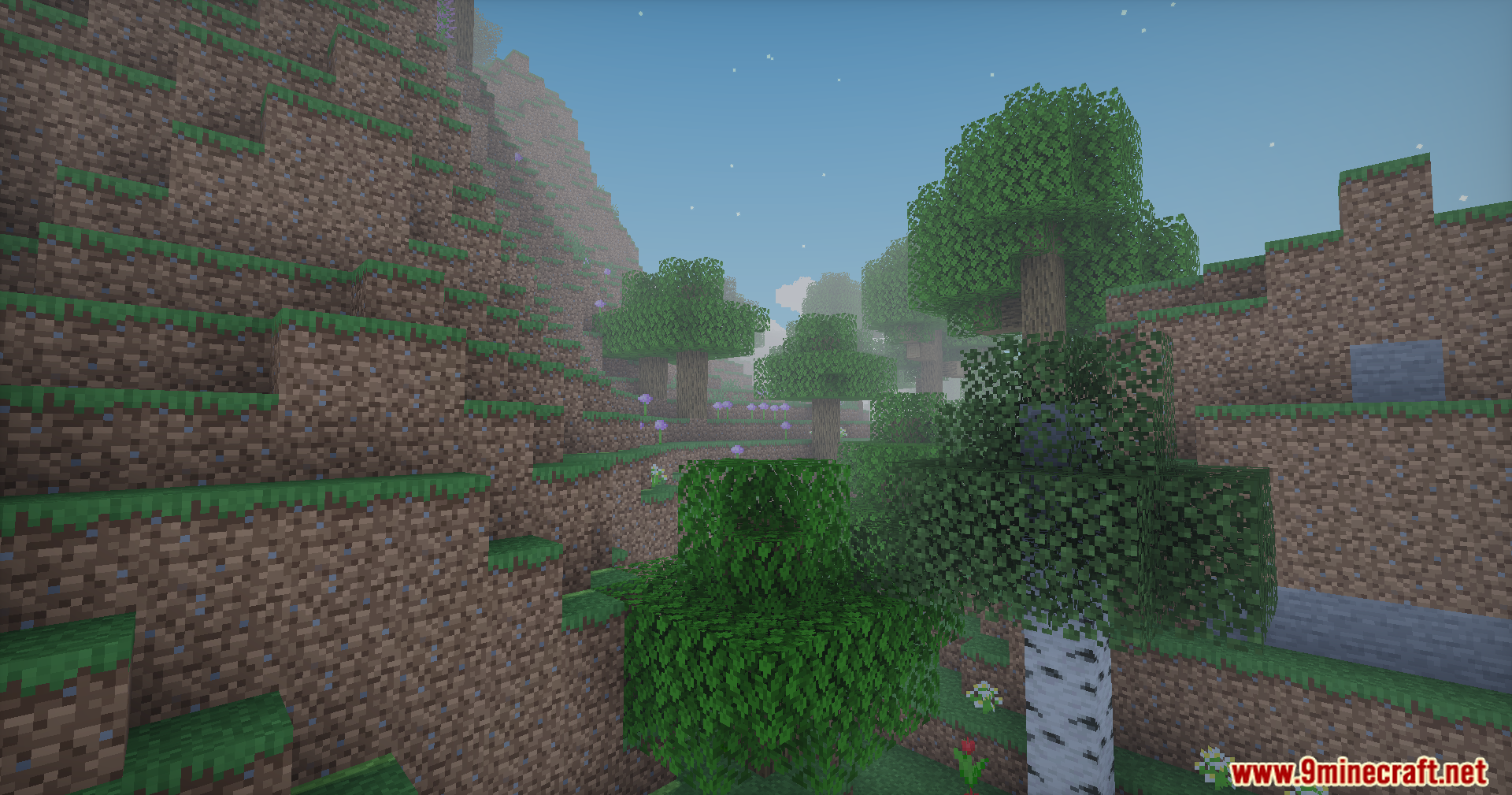 Doruk's Shaders Screenshot 1 A birch tree stands near a steep dirt hill in a foggy forest