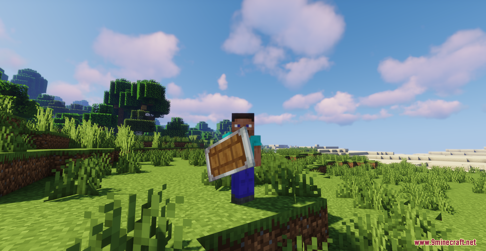 Drodi's Shield Resource Pack Screenshot 4 A Minecraft character stands on a grassy hill holding a custom wooden shield