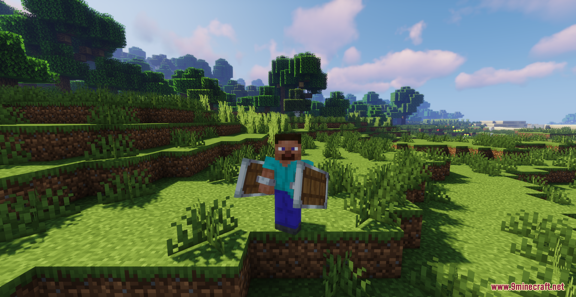 Drodi's Shield Resource Pack Screenshot 9 Steve standing in a grassy field while holding a redesigned wooden shield