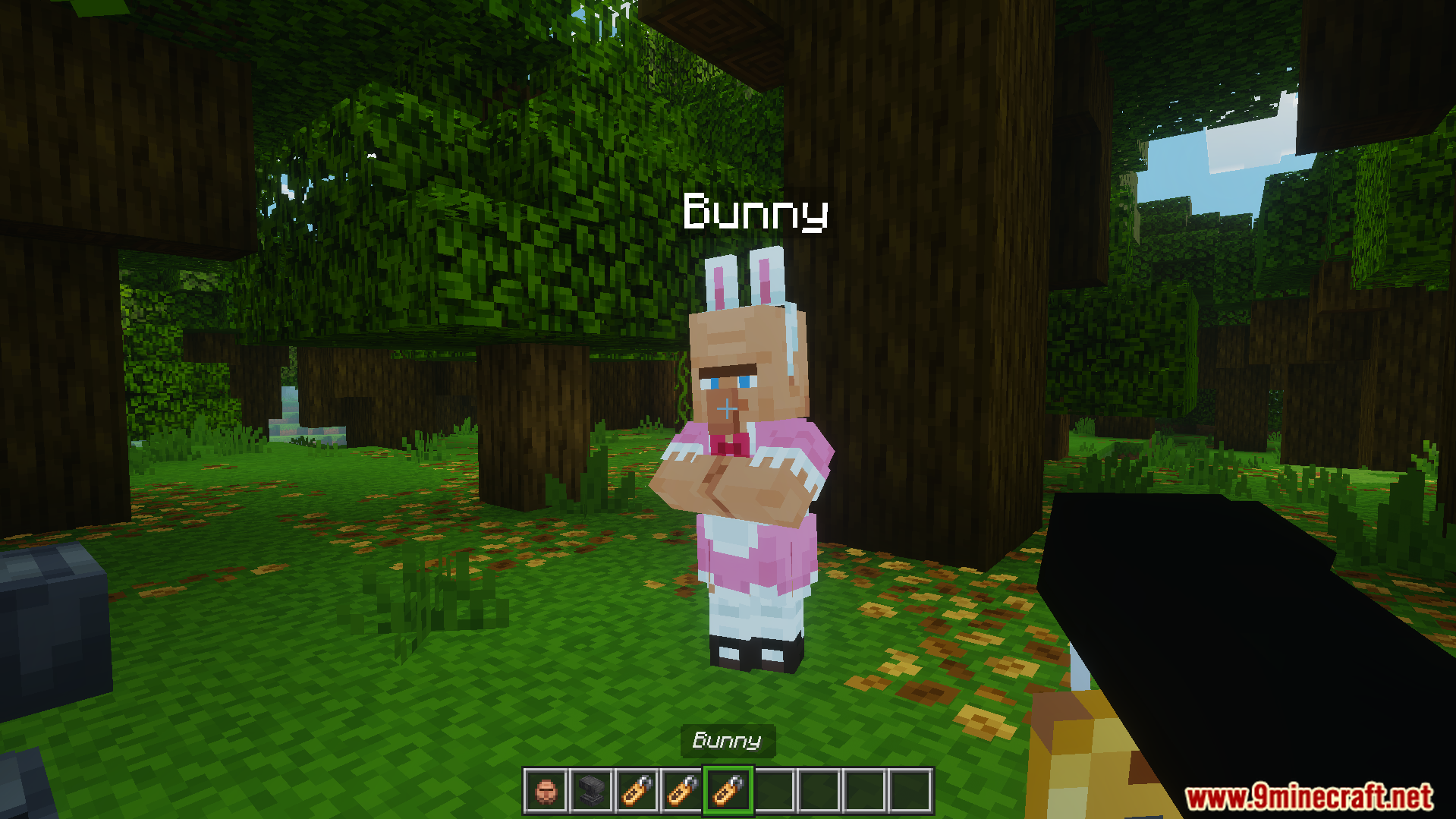 Easter Eggs Rename Ans Texture Pack Screenshot 10 Villager wearing a pink bunny outfit from Easter Eggs Rename Ans pack