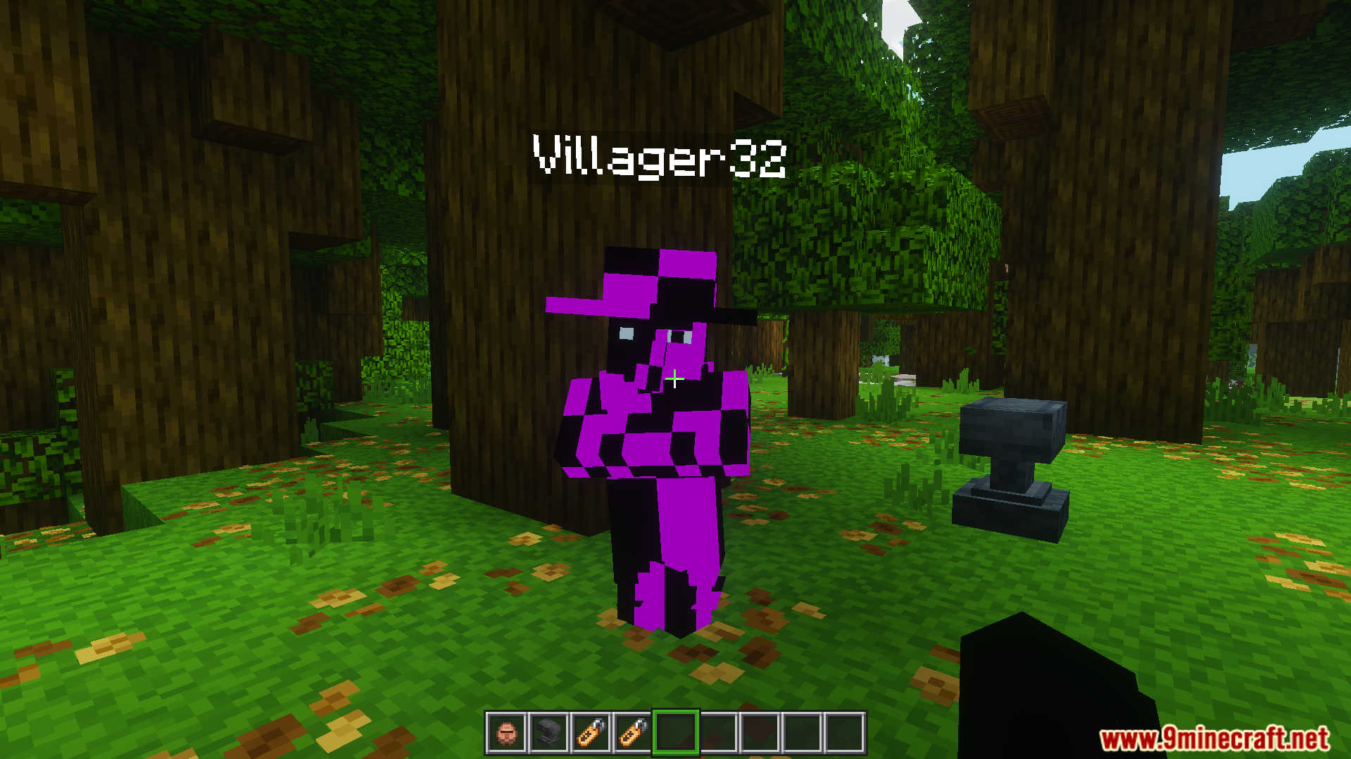 Easter Eggs Rename Ans Texture Pack Screenshot 8 Renaming a villager to a specific name results in a checkered texture