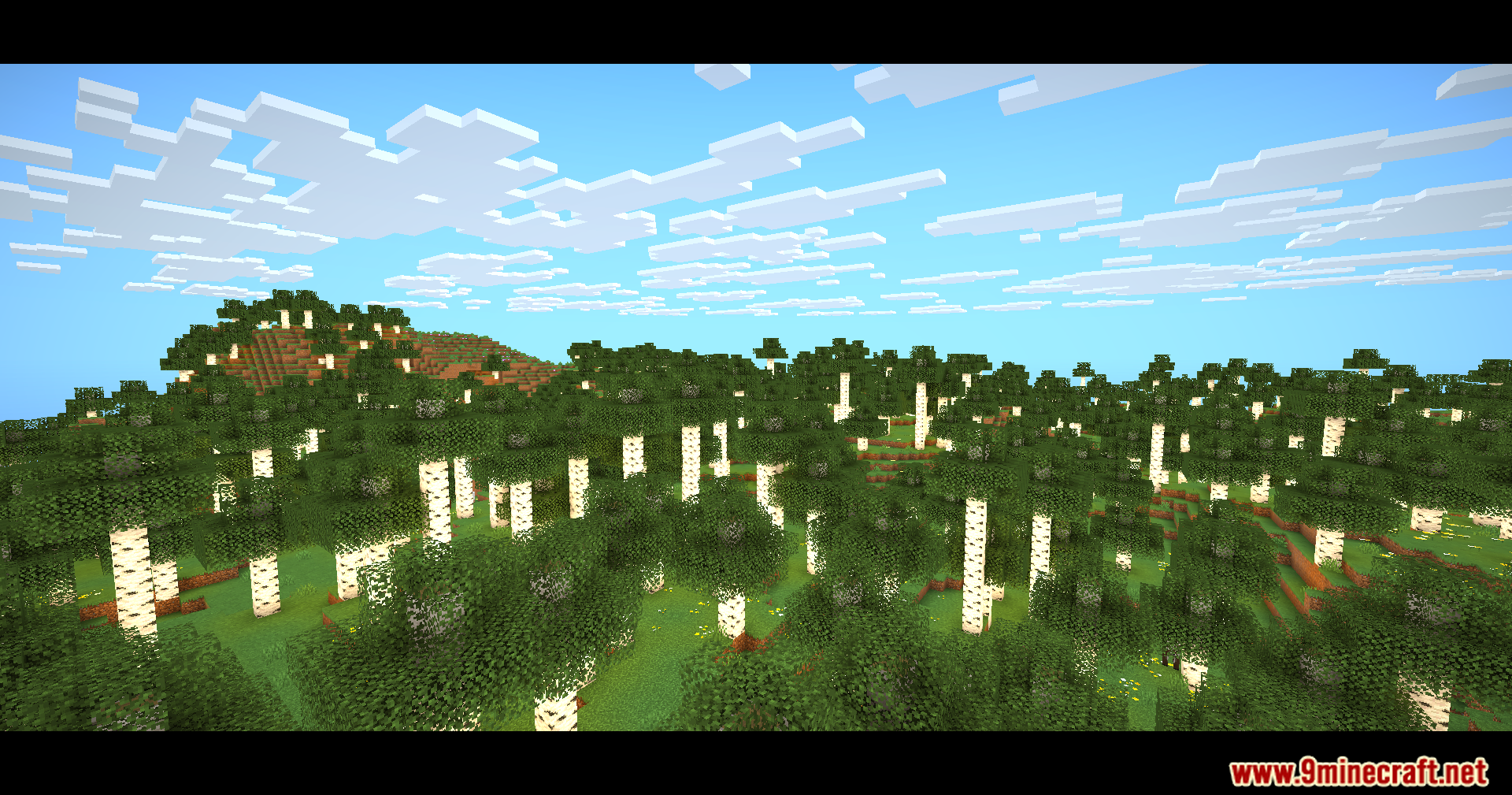 Eclipse Lite Cinematic Shaders displaying a birch forest with movie style bars