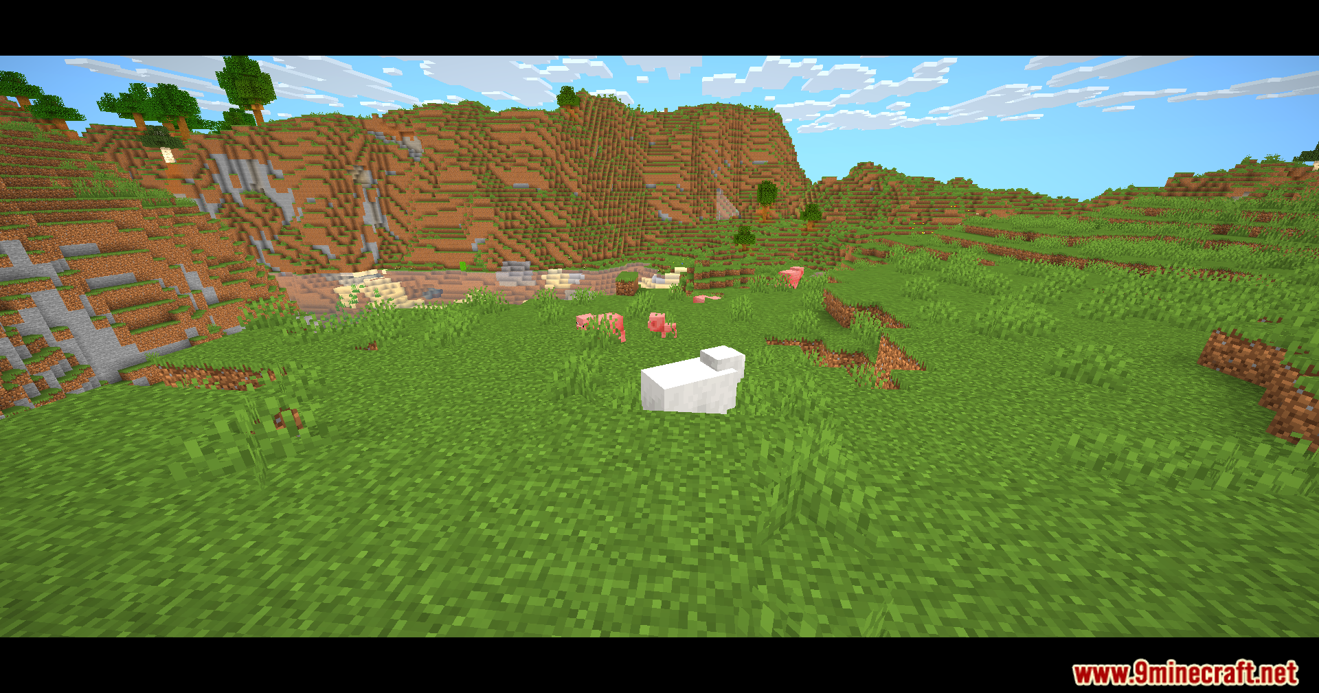 A white sheep and pink pigs graze in a field with cinematic bars