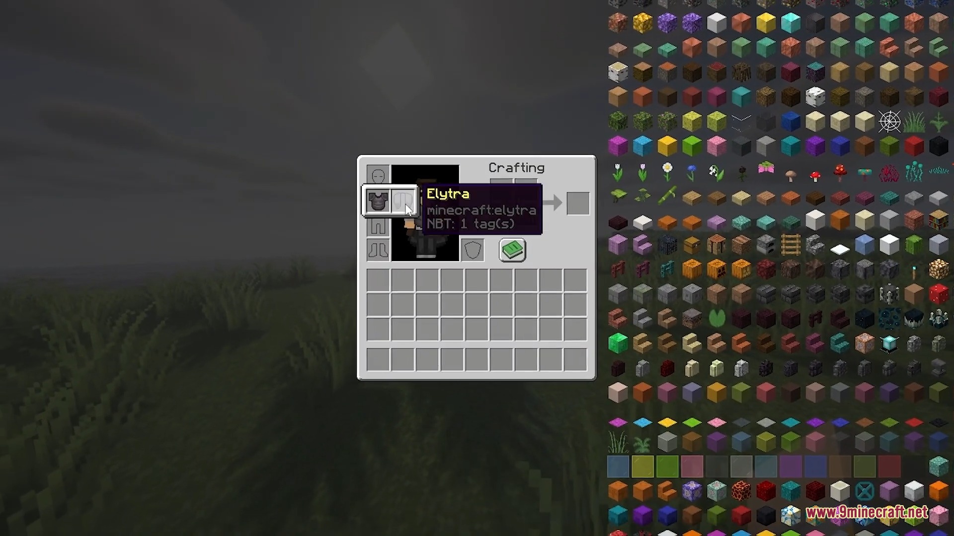 Player selects the Elytra in a dedicated equipment slot for flight