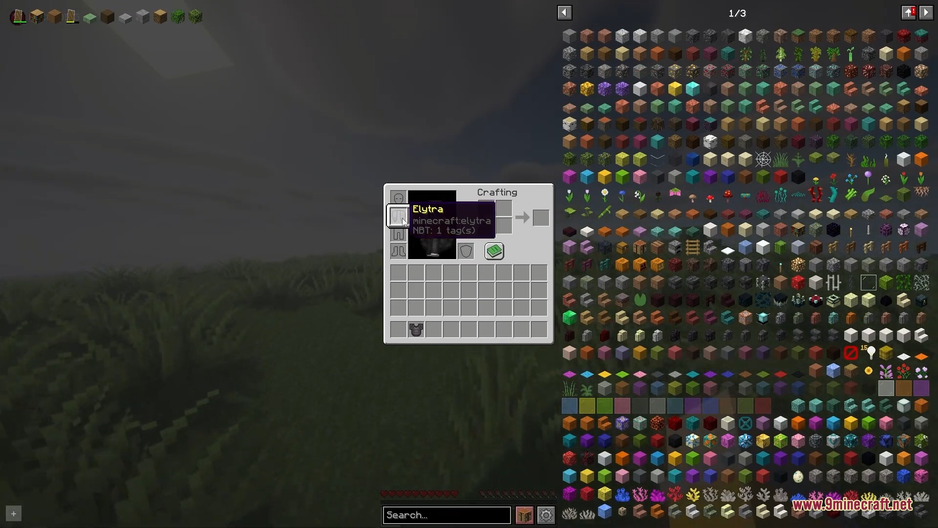 Inventory screen showing the Elytra Slot mod and many items
