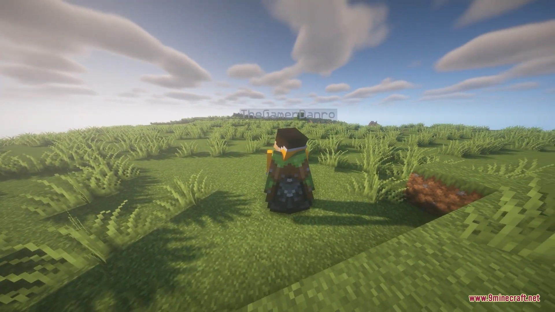 Player character wearing an elytra and green armor in a lush grassy field