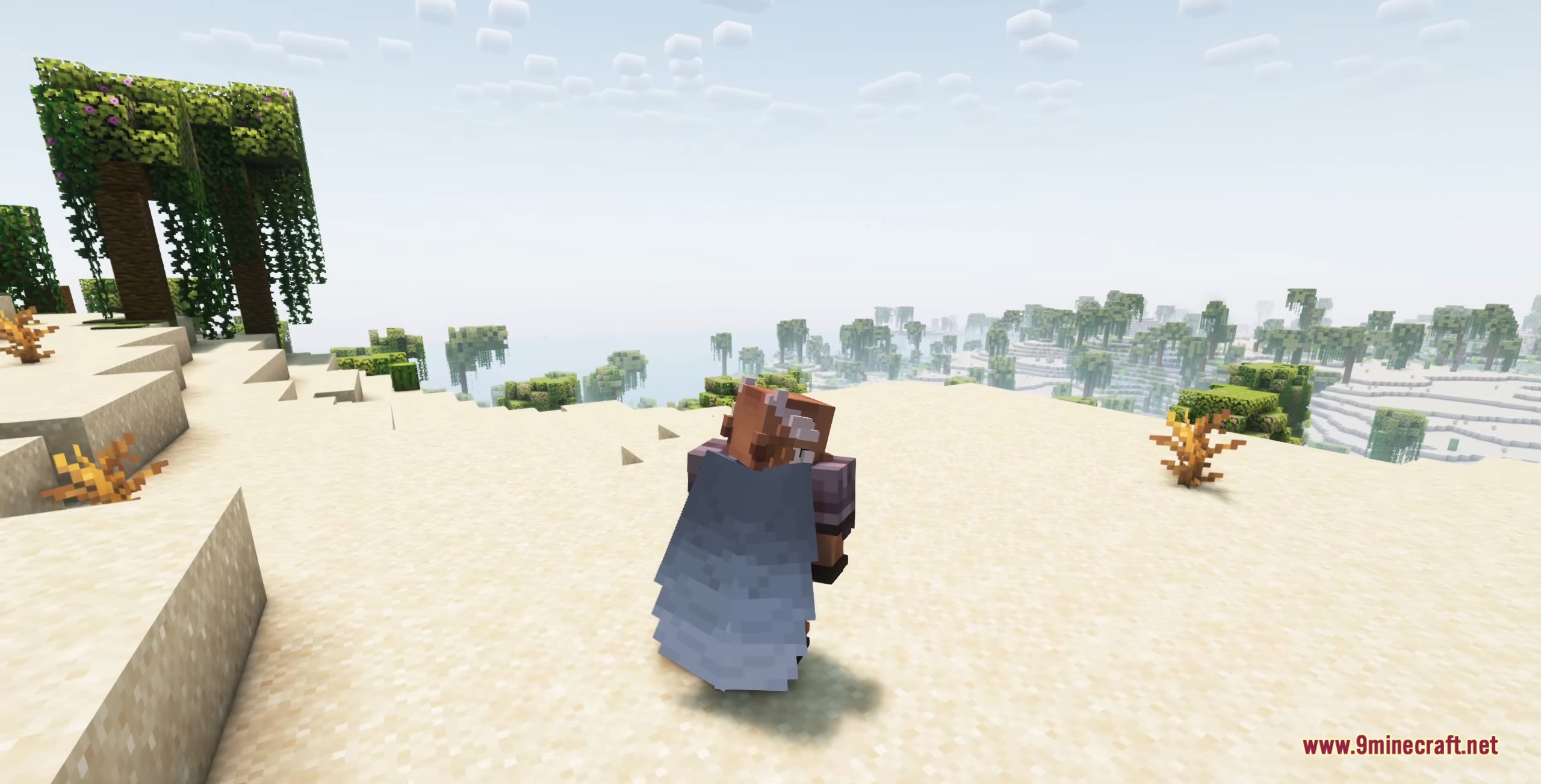 Player wearing armor and an elytra standing in a desert biome