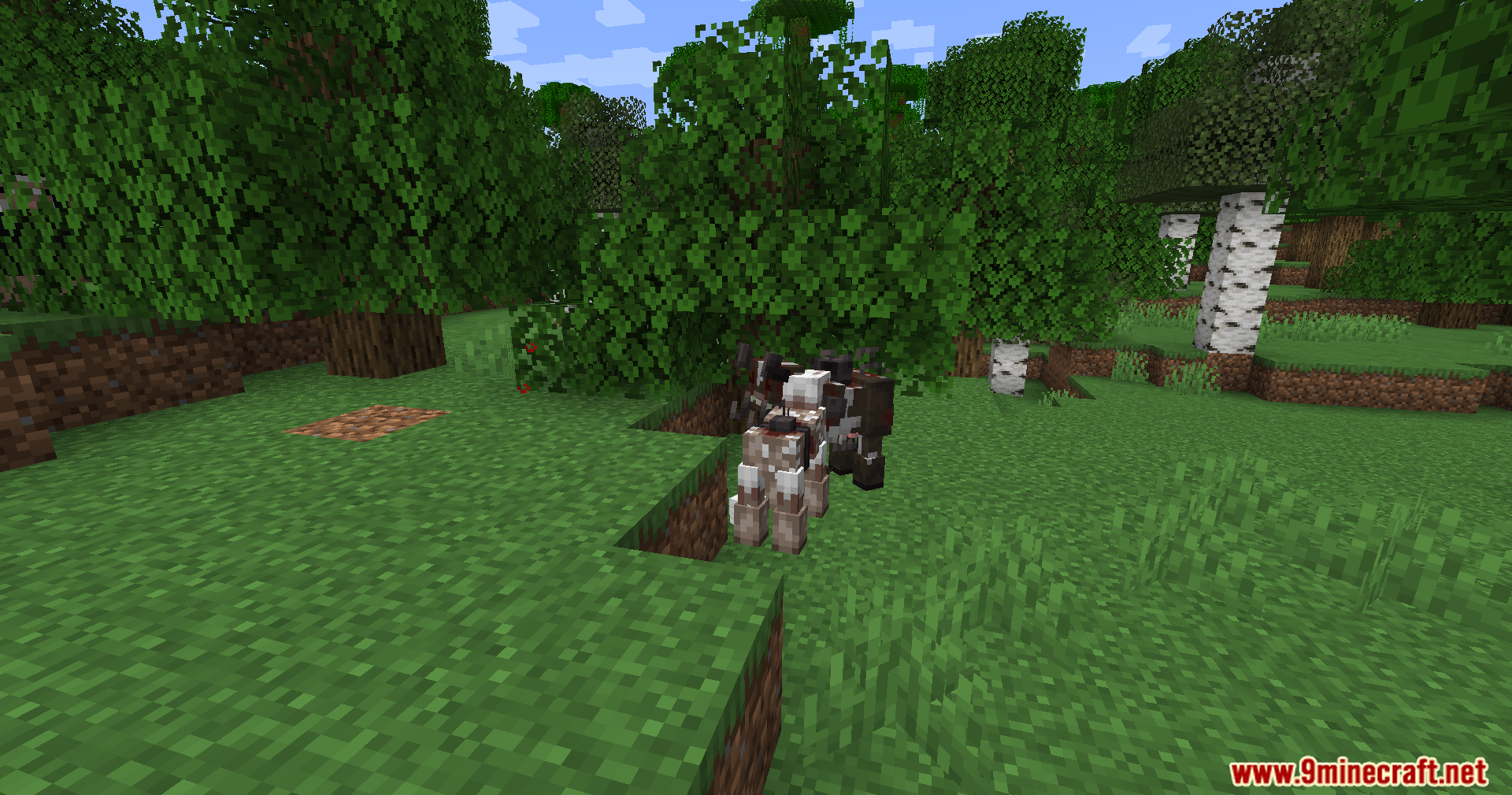 End-Parasitize and Convert All Mod Screenshot 9 An infected cow wanders through a forest biome with many oak trees